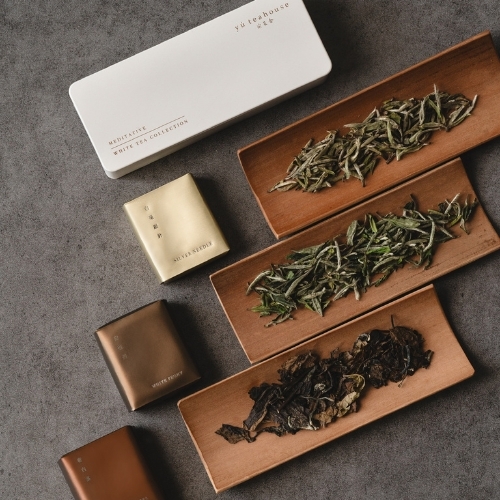 白茶功效與茶性變化：從清熱到溫養｜瑜茶舍