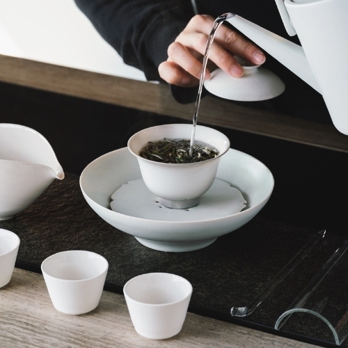 工藝核心：為何白茶能轉化？｜瑜茶舍