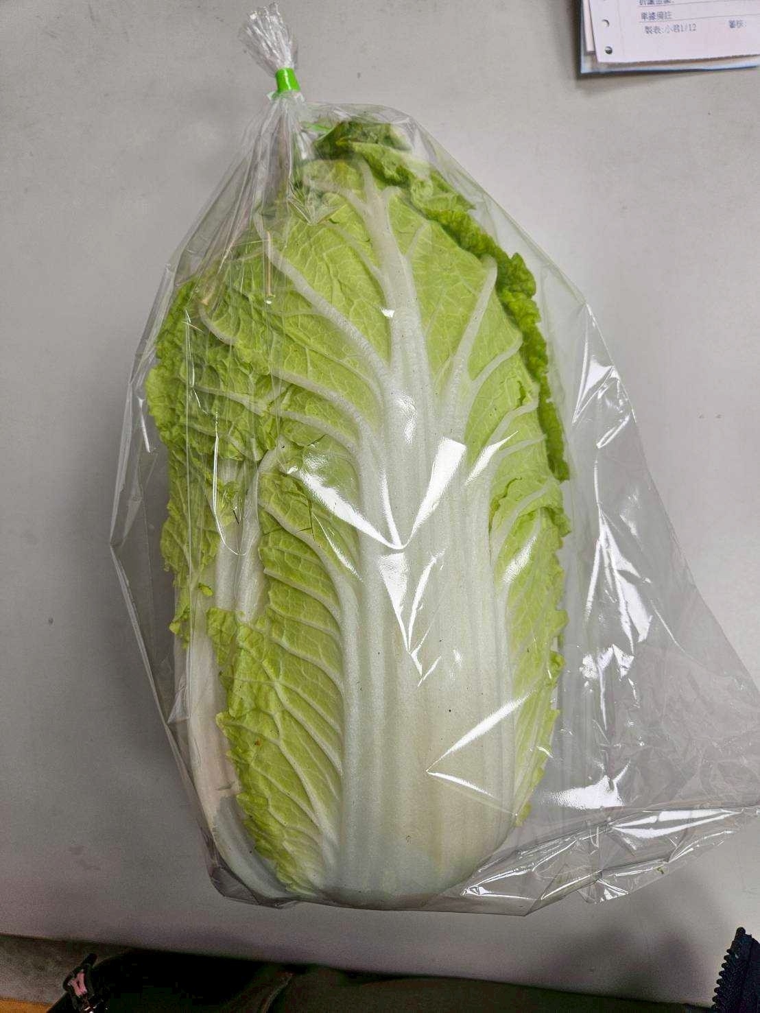 預購【04月22日(三)到貨】食物日💮有機(山東)包心白菜【約1公斤/顆】