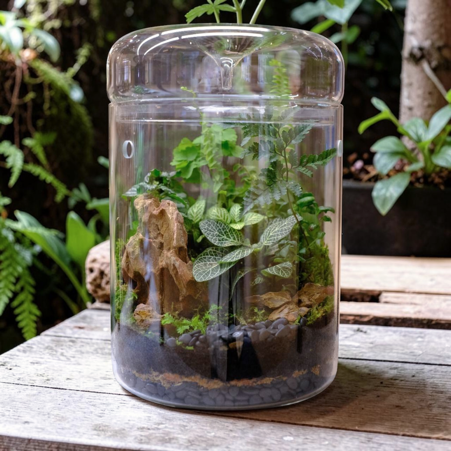 生態瓶課程【微森之境】