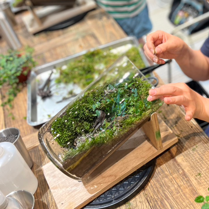 生態瓶課程【微森之境】