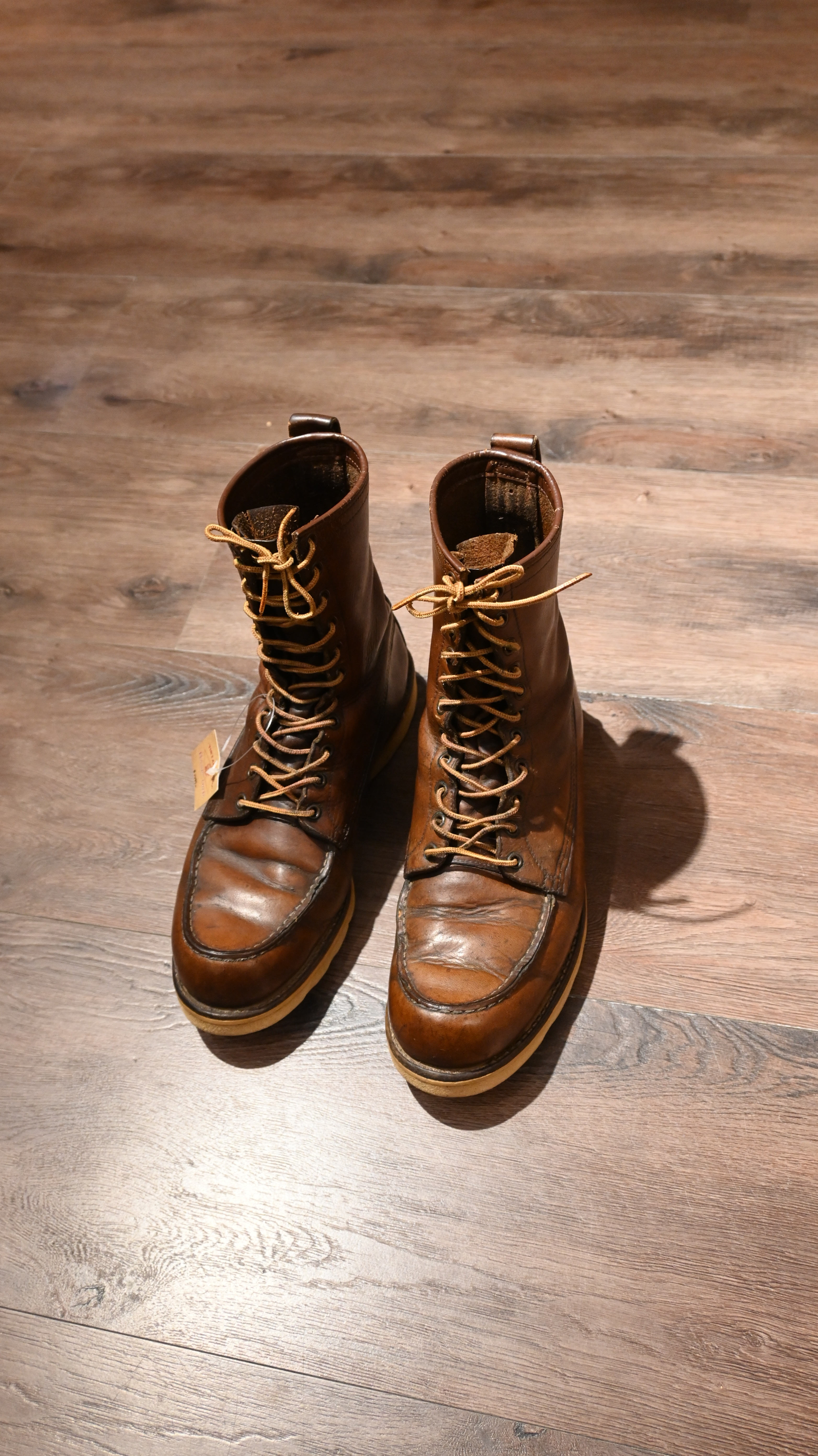 60’s Red Wing 877 Irish Setter Dog Tag