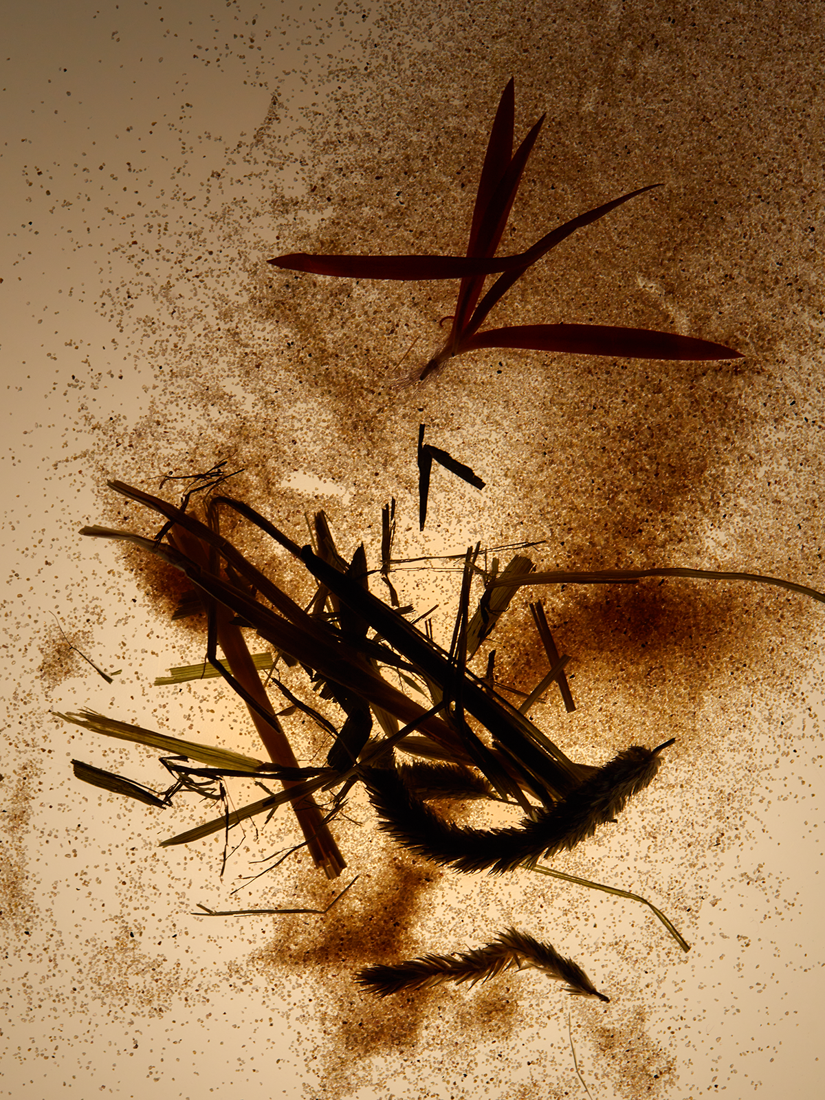 【 5/1收單 】025S STARGAZE 凝望繁星淡香精 30ml