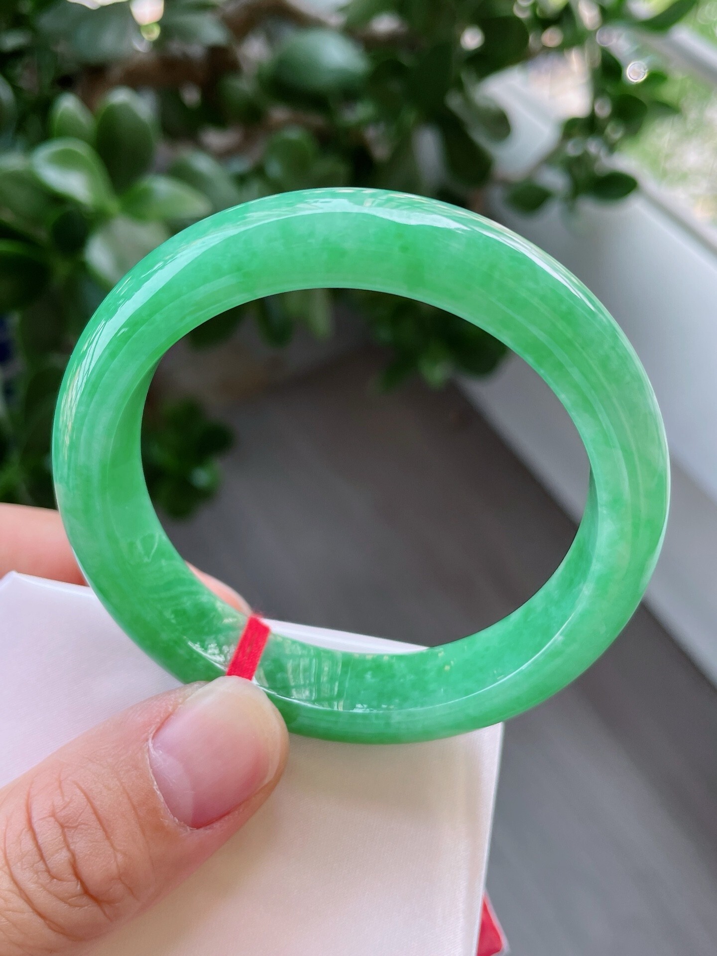 滿綠正圈翡翠手鐲,天然翡翠A玉, 緬甸玉, Jade, Jadeite