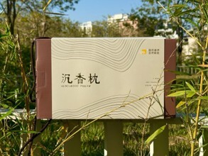 0416gz137-GZday3-沉香4月-棋楠有序矽膠沉香枕頭*獨家產品*(A137)