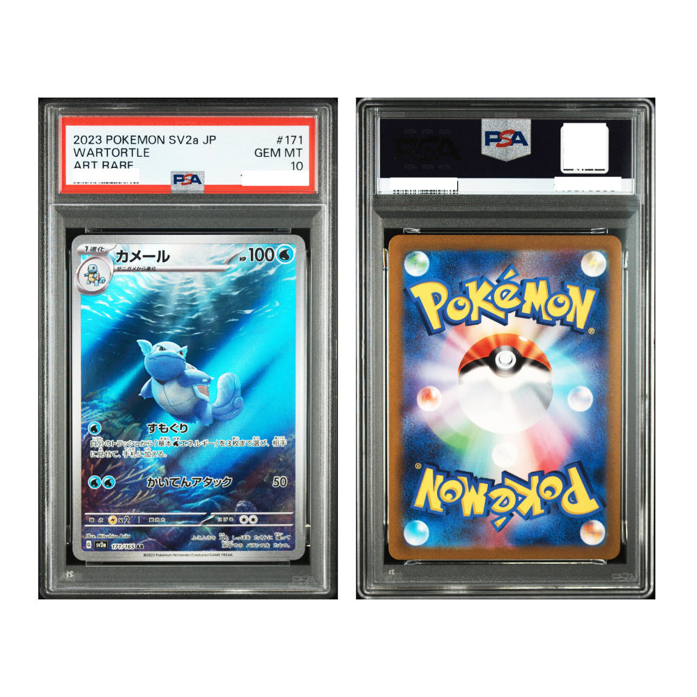 [PSA 10, 171/165 AR] 2023 POKEMON JAPANESE SV2a-POKEMON 151 #171 WARTORTLE ART RARE
