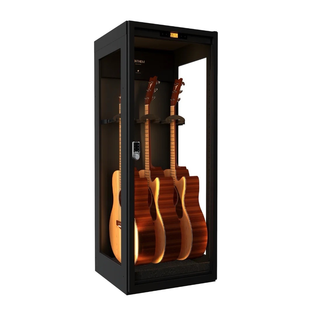 【專業除濕必備】LENTHEM 領頓 | DMI-305DT | 吉他防潮櫃 樂器防潮箱 兩側玻璃展示櫃（三支裝）