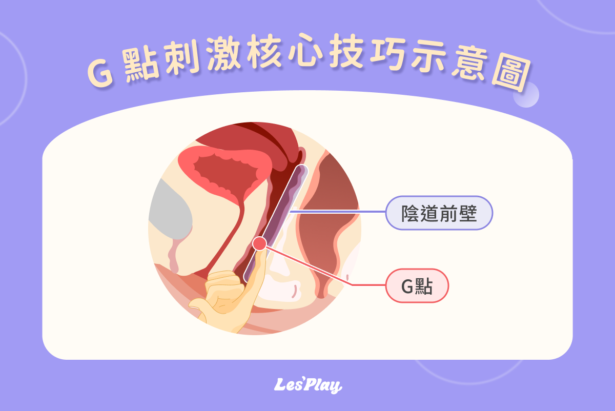 G 點刺激核心技巧示意圖