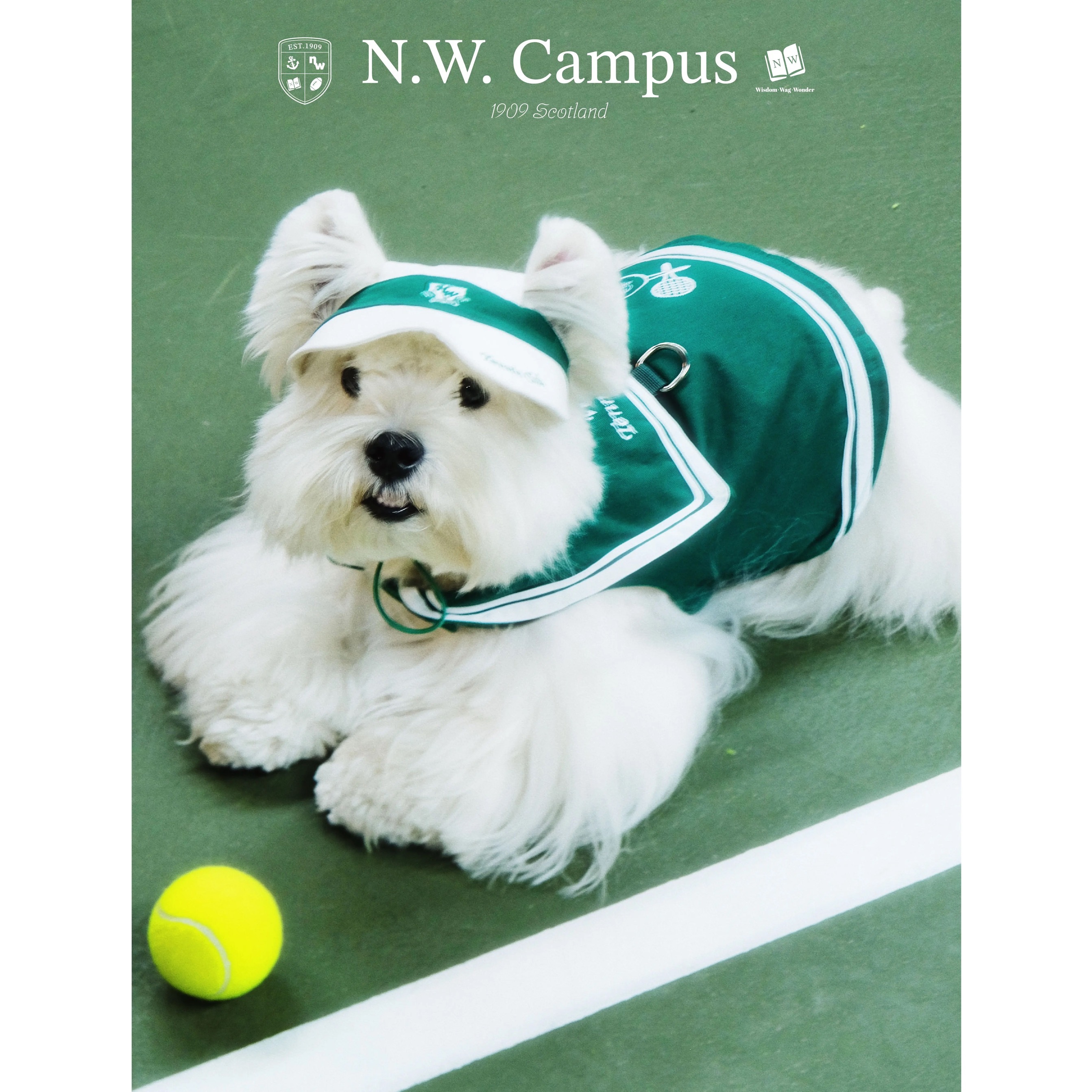 NW学院 社团网球服 宠物衣服运动风