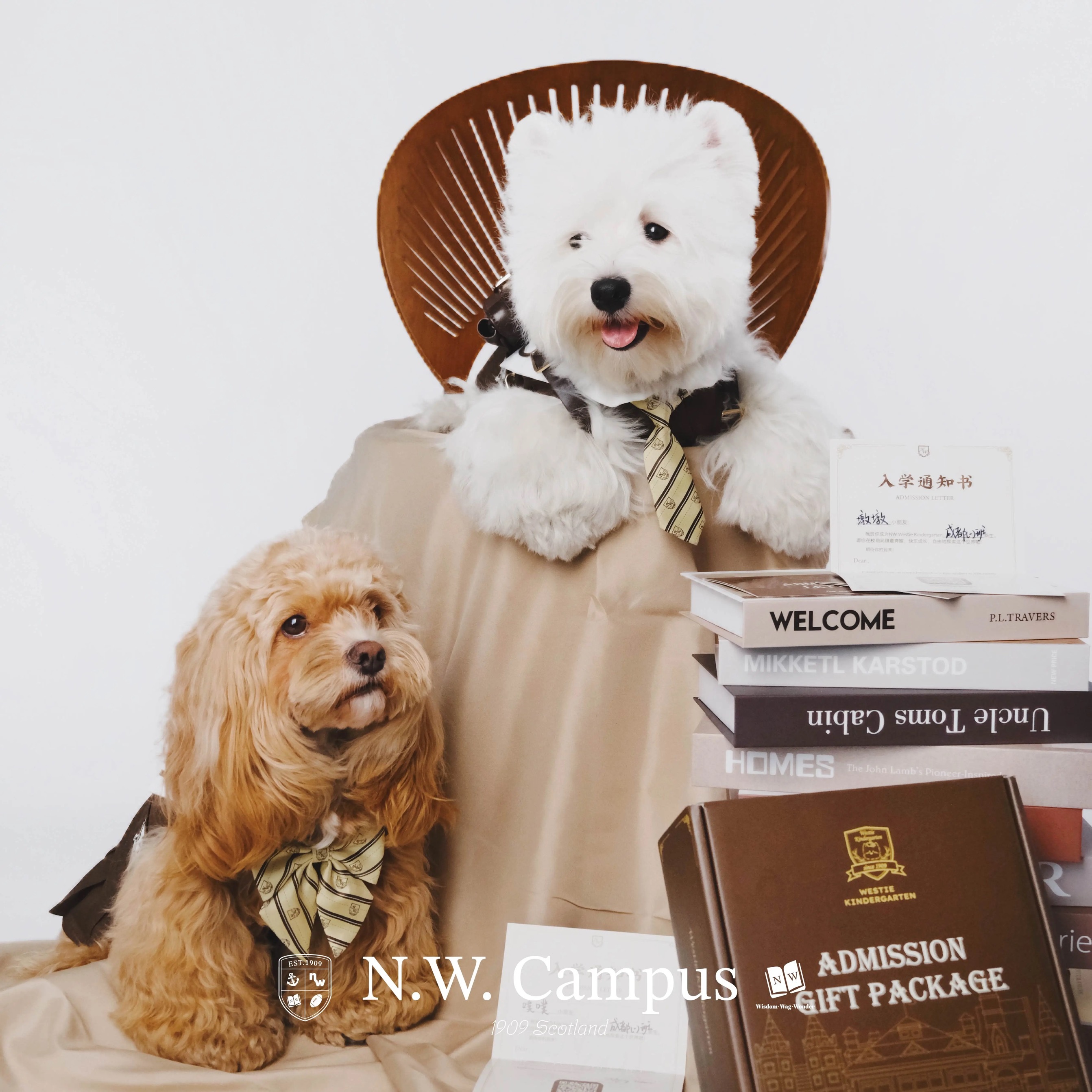 NW学院 25学年入园套装礼服