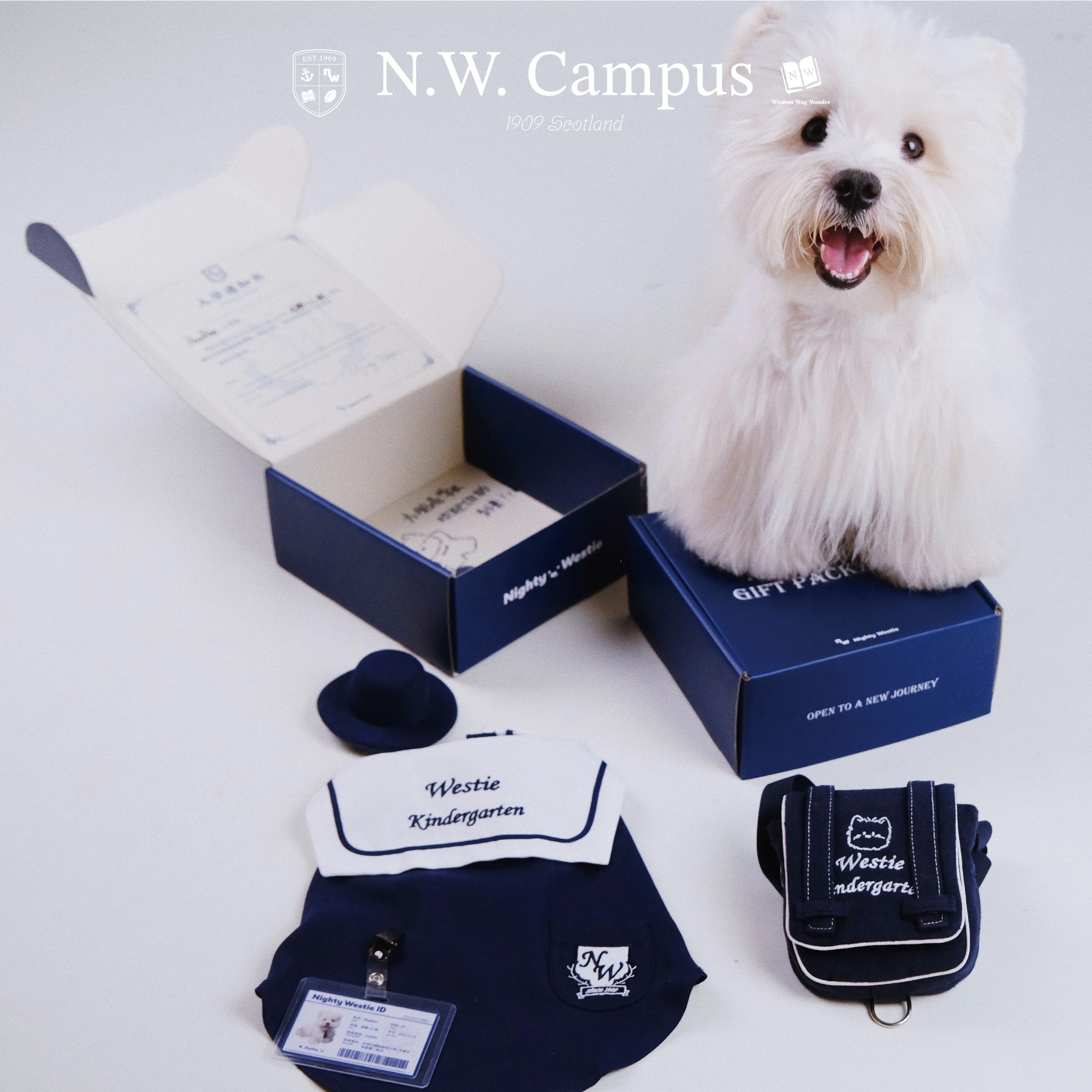 NW学院 24学年入园服