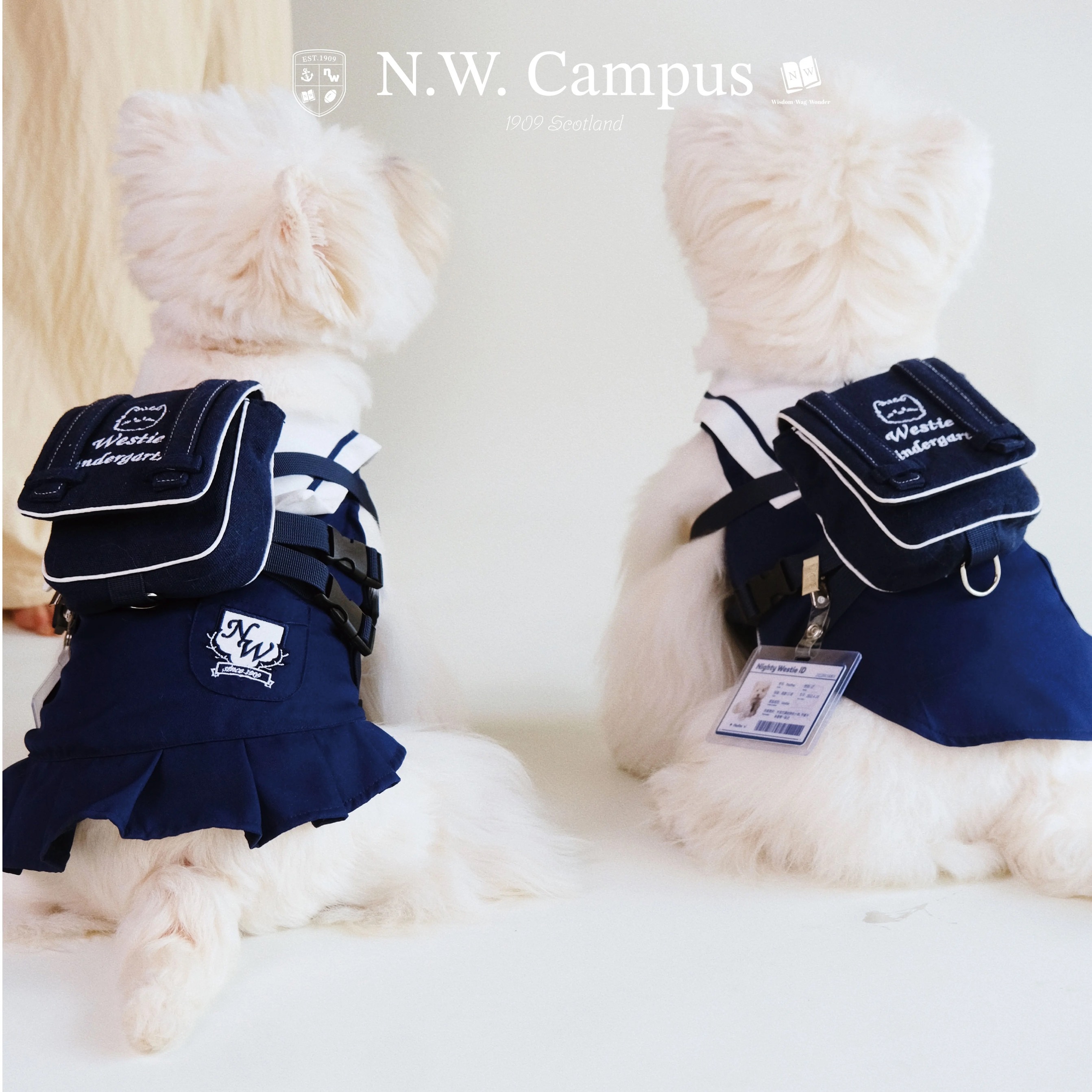 NW学院 24学年入园服