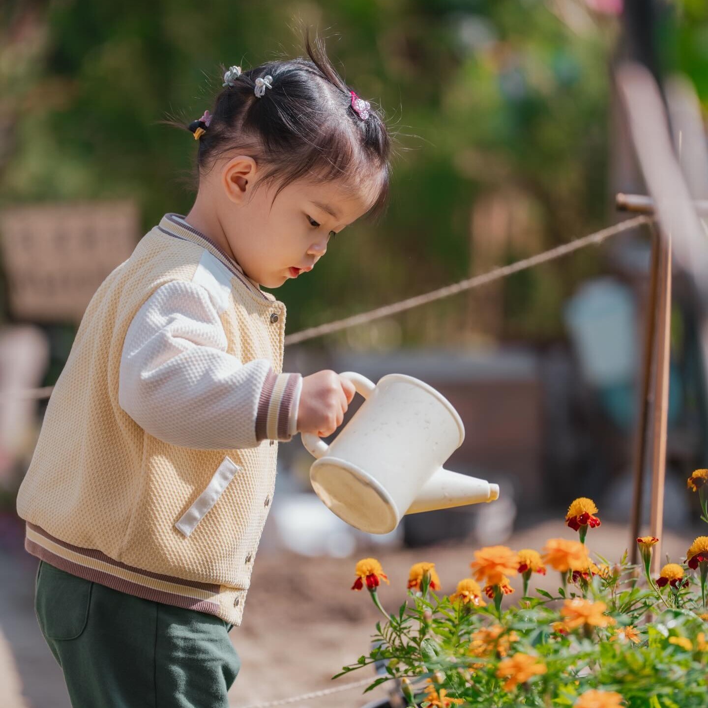 Nature day 🌱 大自然探索日
