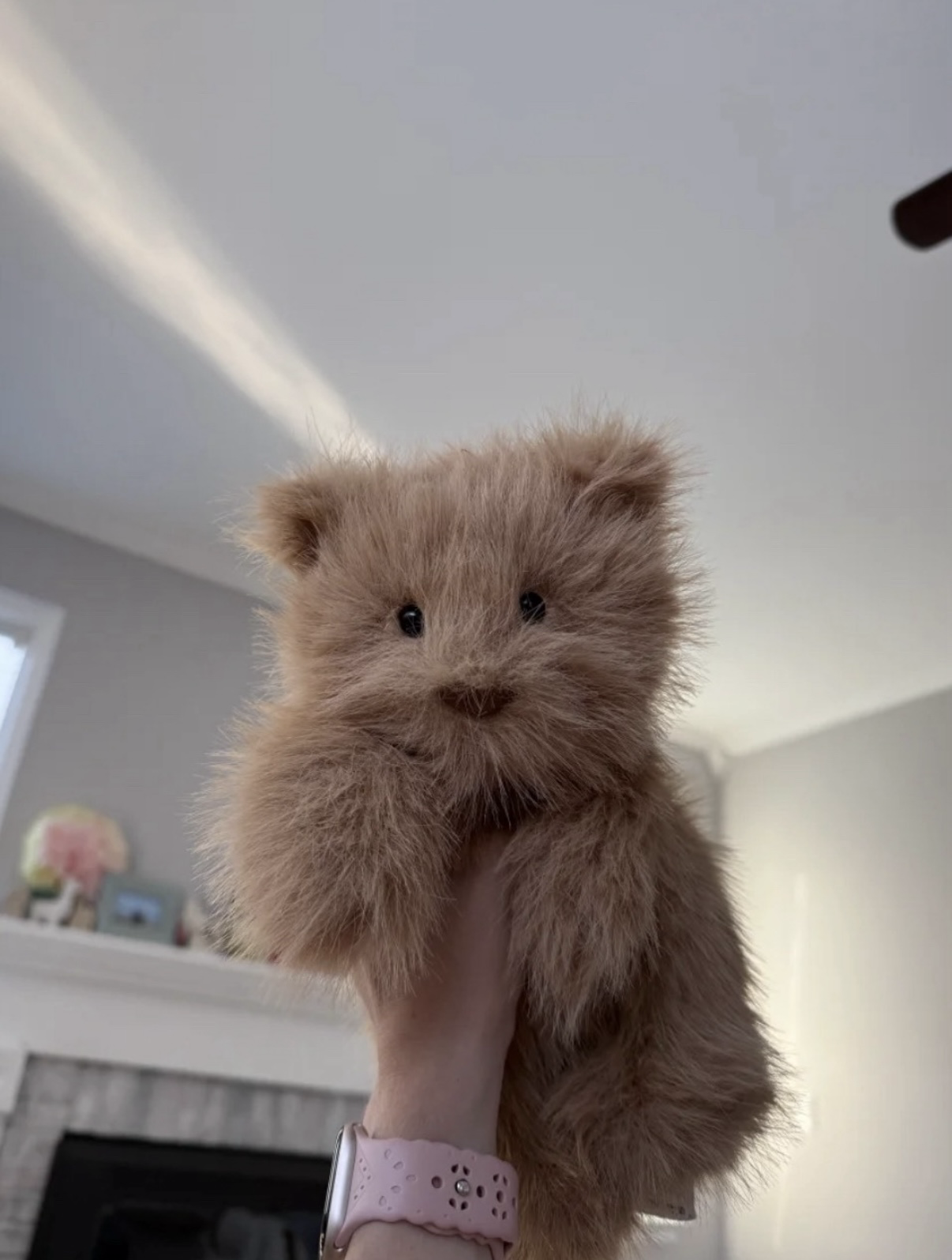 (預購）JellyCat 新品🤎長毛 澎澎巴塞羅熊