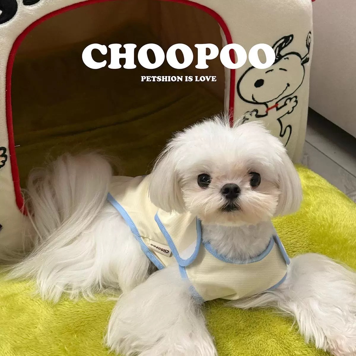 CHOOPOO凉凉衣 透气防晒凉感宠物衣服