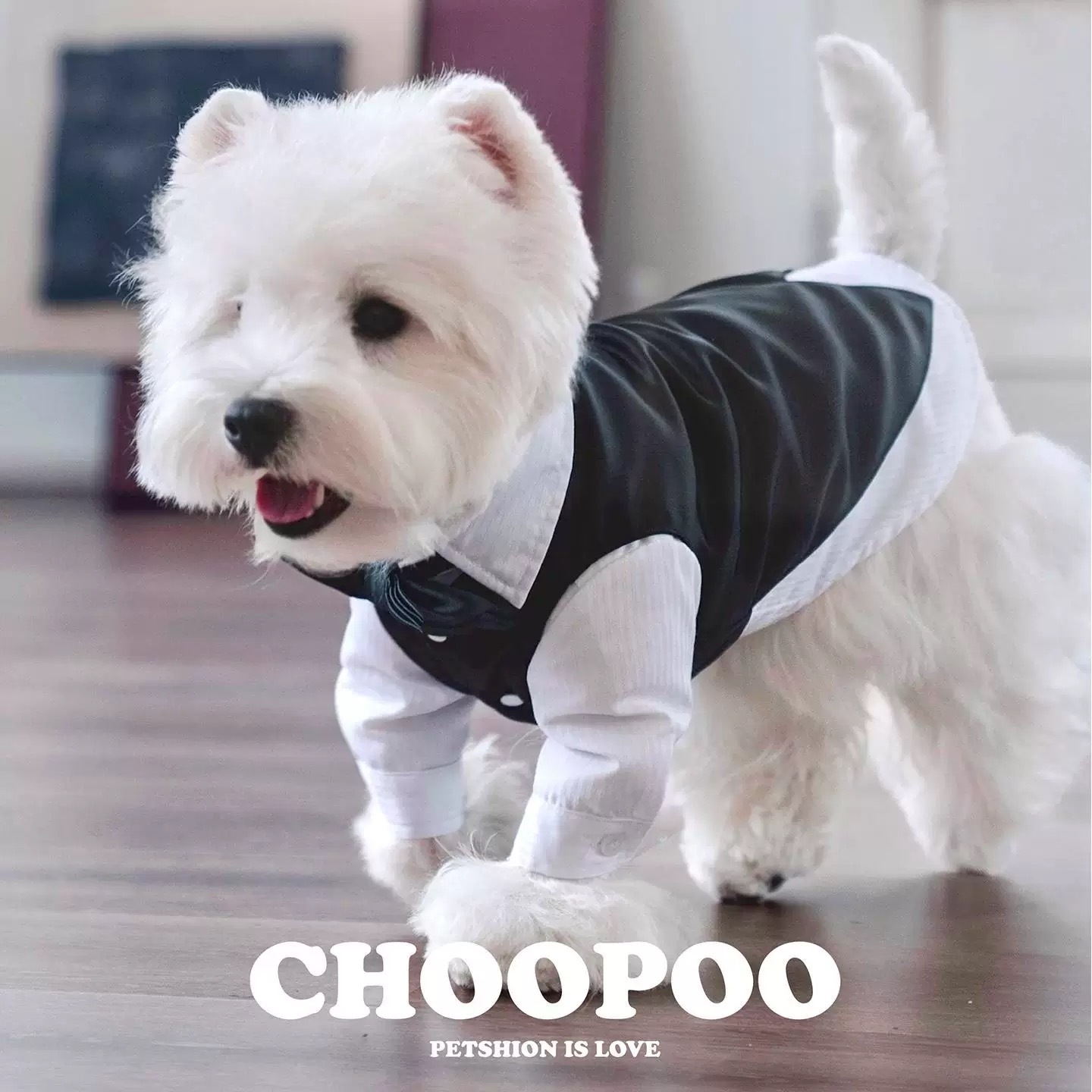 CHOOPOO优雅生日礼服情侣宠物衣