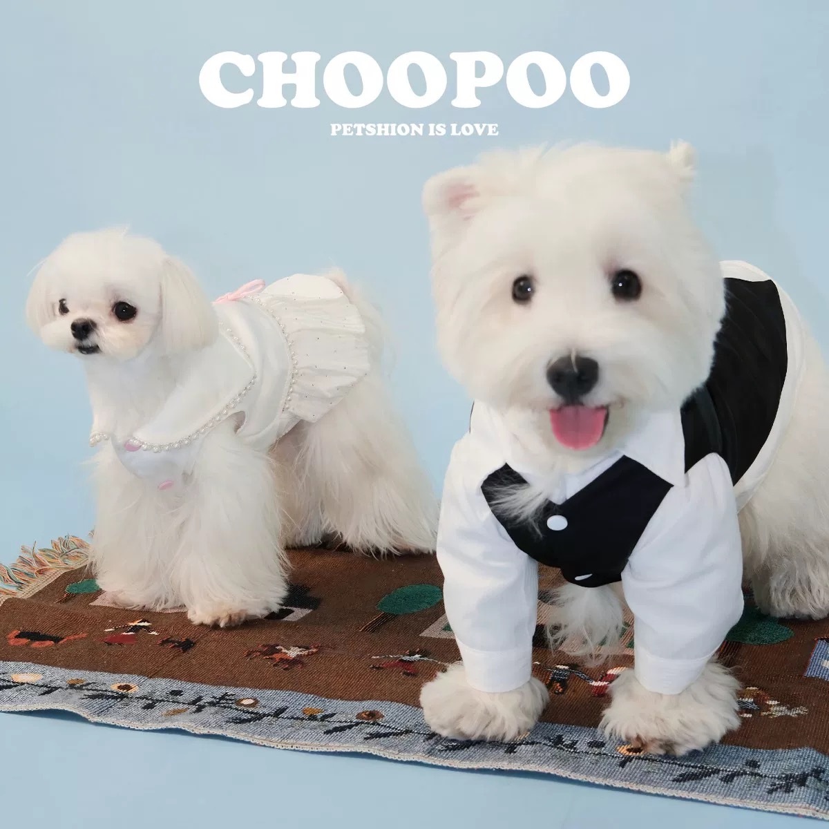 CHOOPOO优雅生日礼服情侣宠物衣