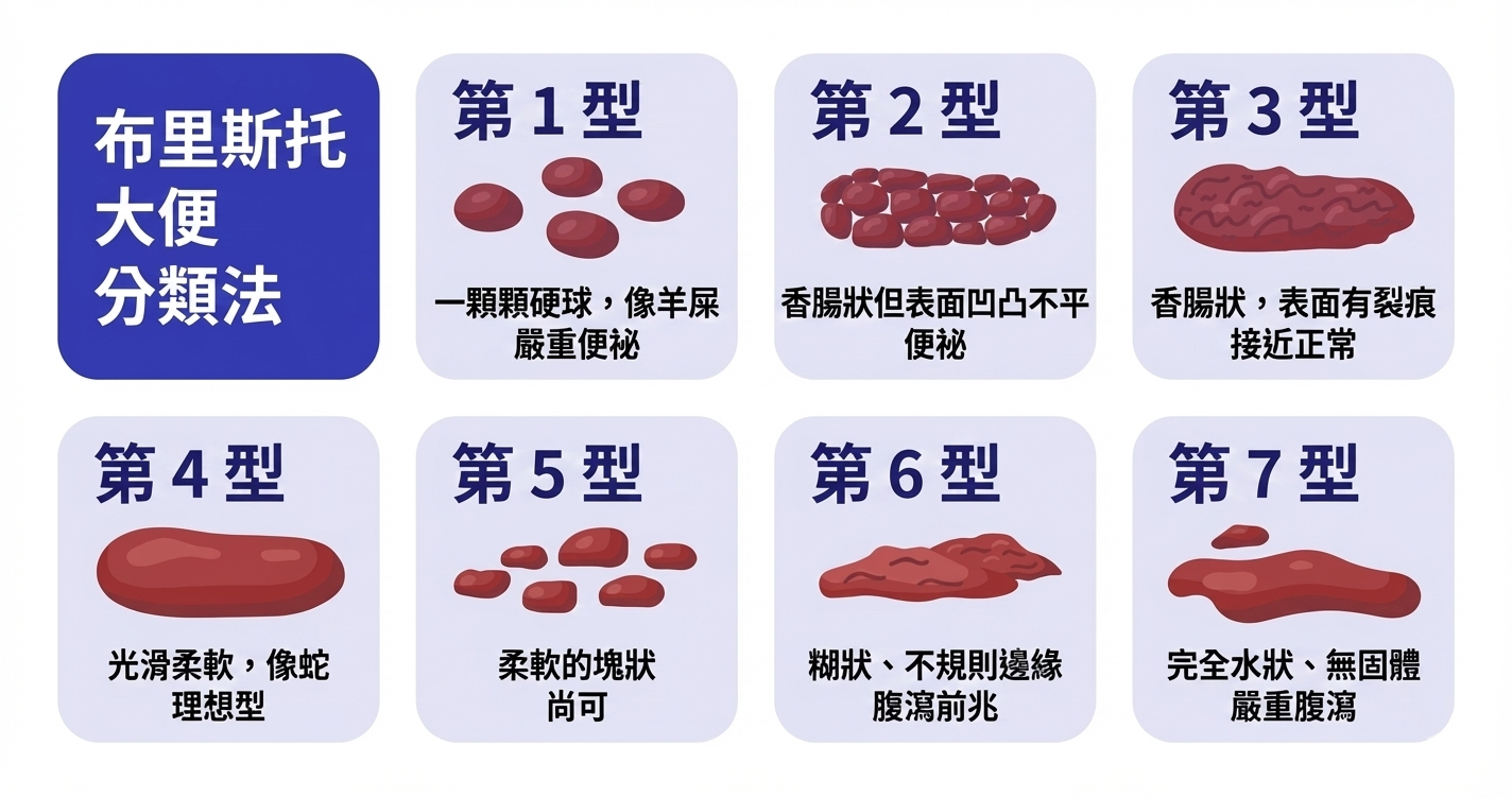 醫師常使用布里斯托大便分類法(Bristol Stool Chart)來描述糞便型態