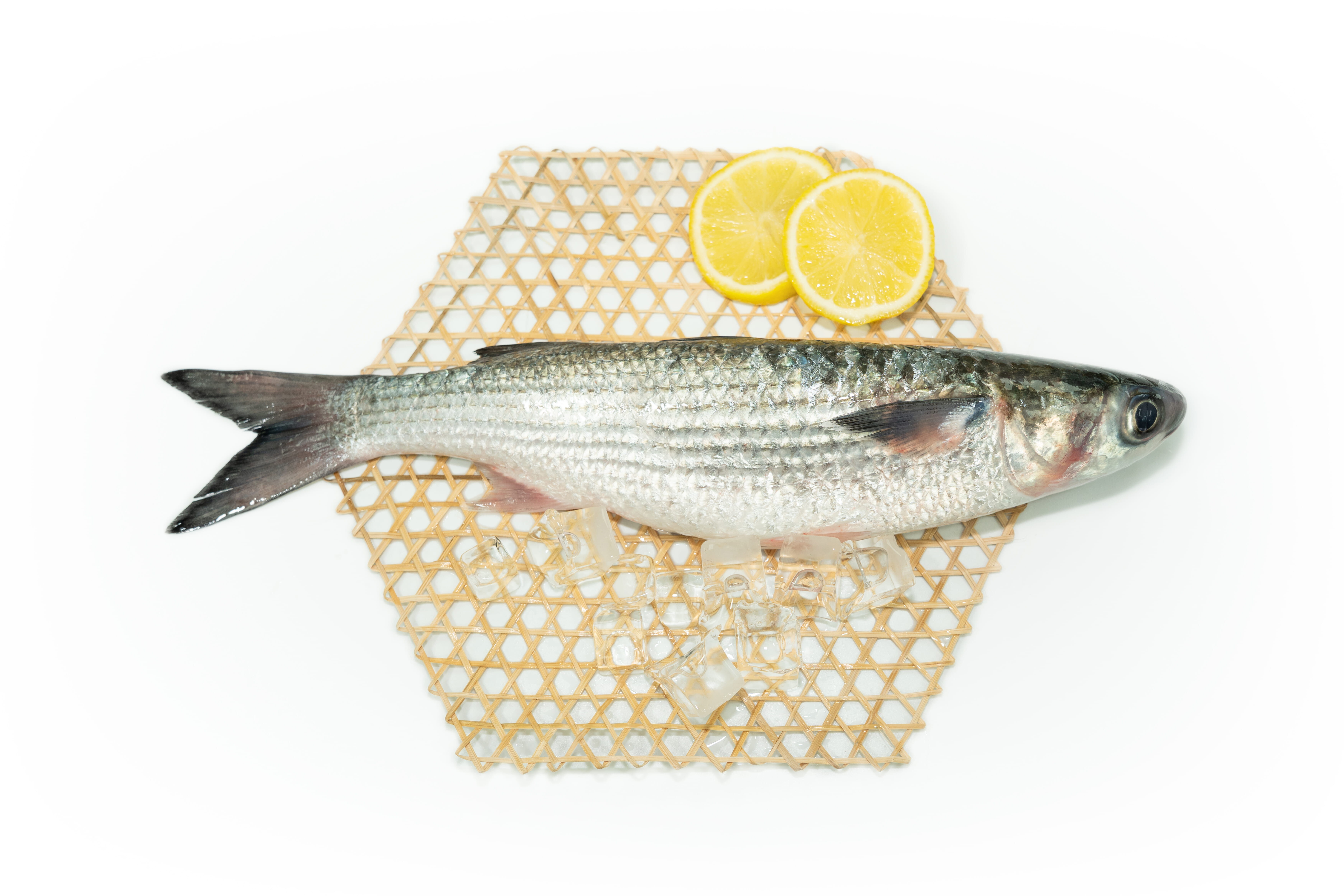 本地漁菜直銷專區：本地優質速凍楊氏烏頭(有鱗) 400g