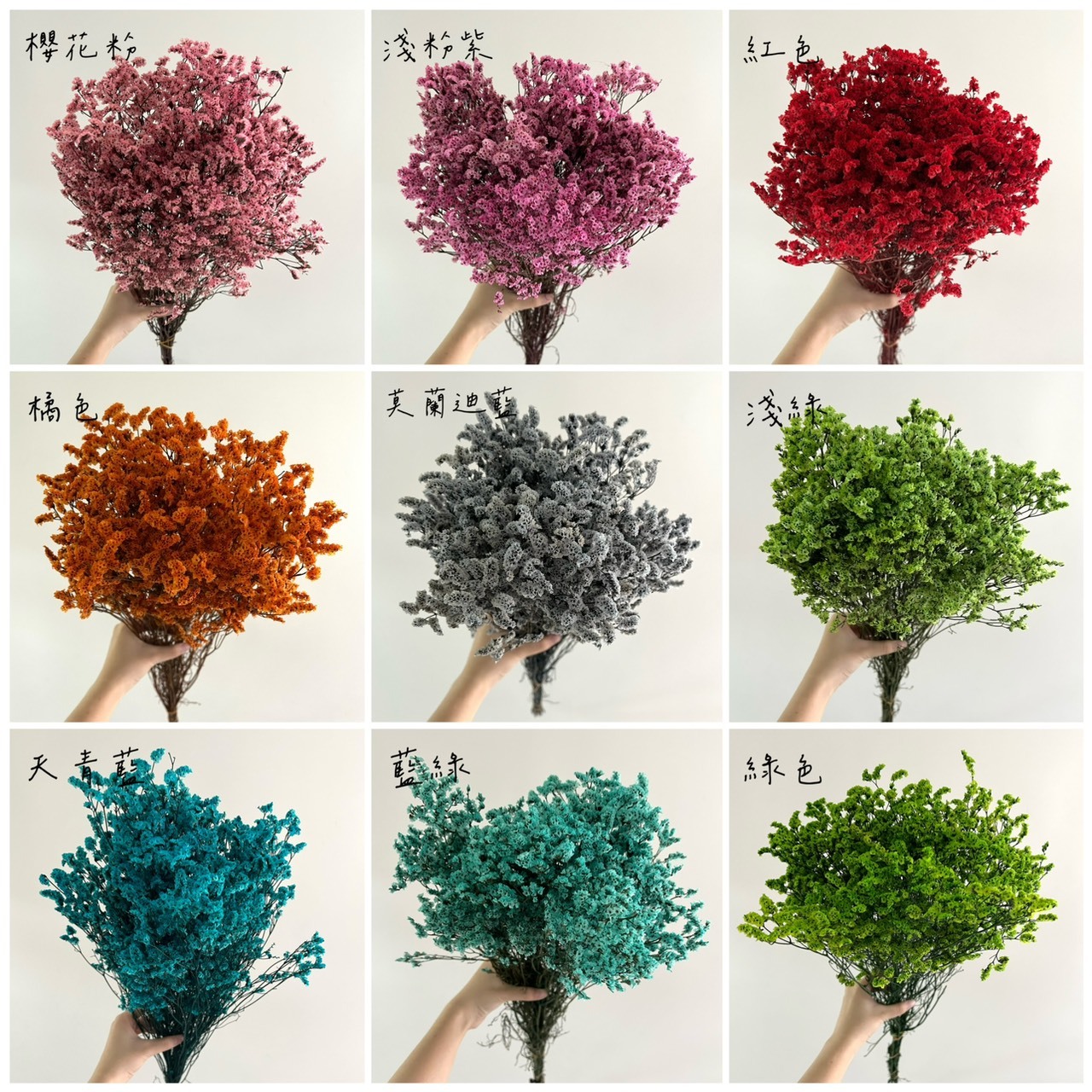 不凋水晶花