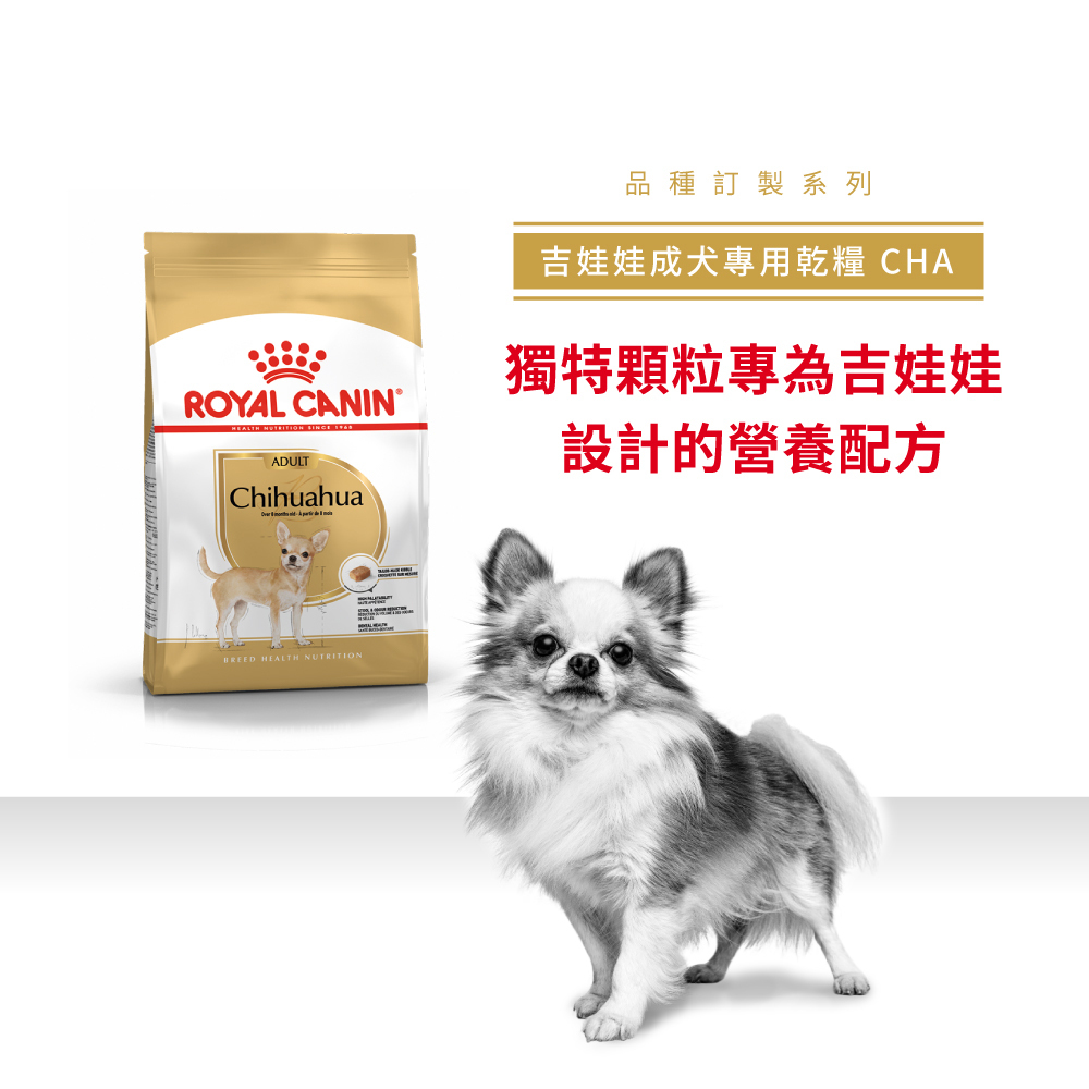 Royal Canin法國皇家吉娃娃成犬CHA