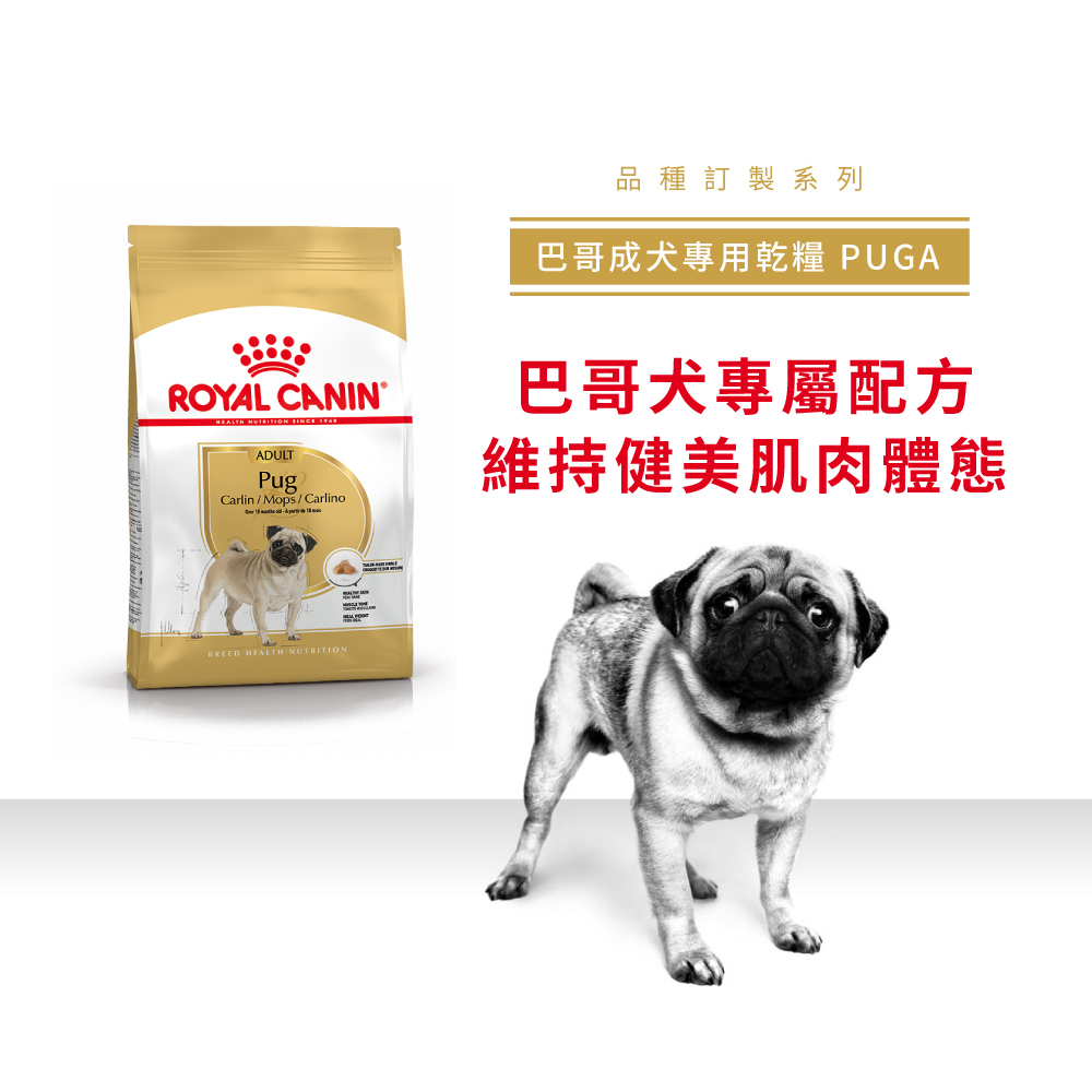Royal Canin法國皇家巴戈成犬PUGA