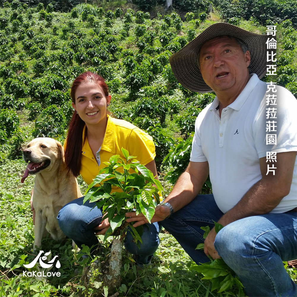 CR93-哥倫比亞 EA甘蔗低咖啡因日曬 卡爾達斯 克菈菈莊園 卡杜拉