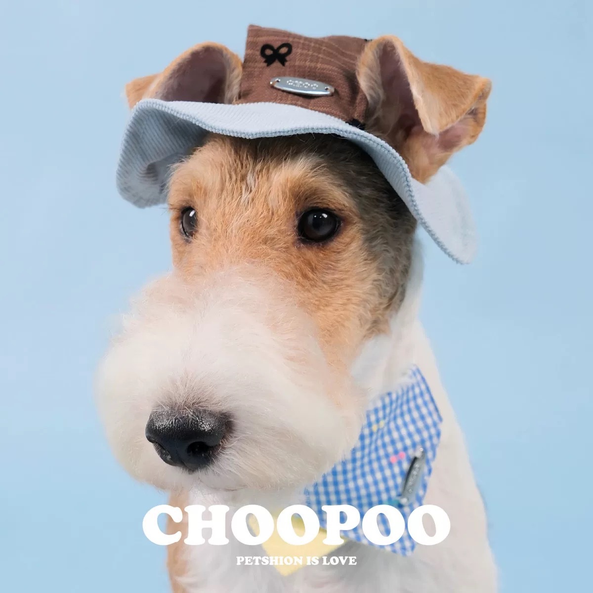 CHOOPOO帽子 miu高级风格子宠物帽