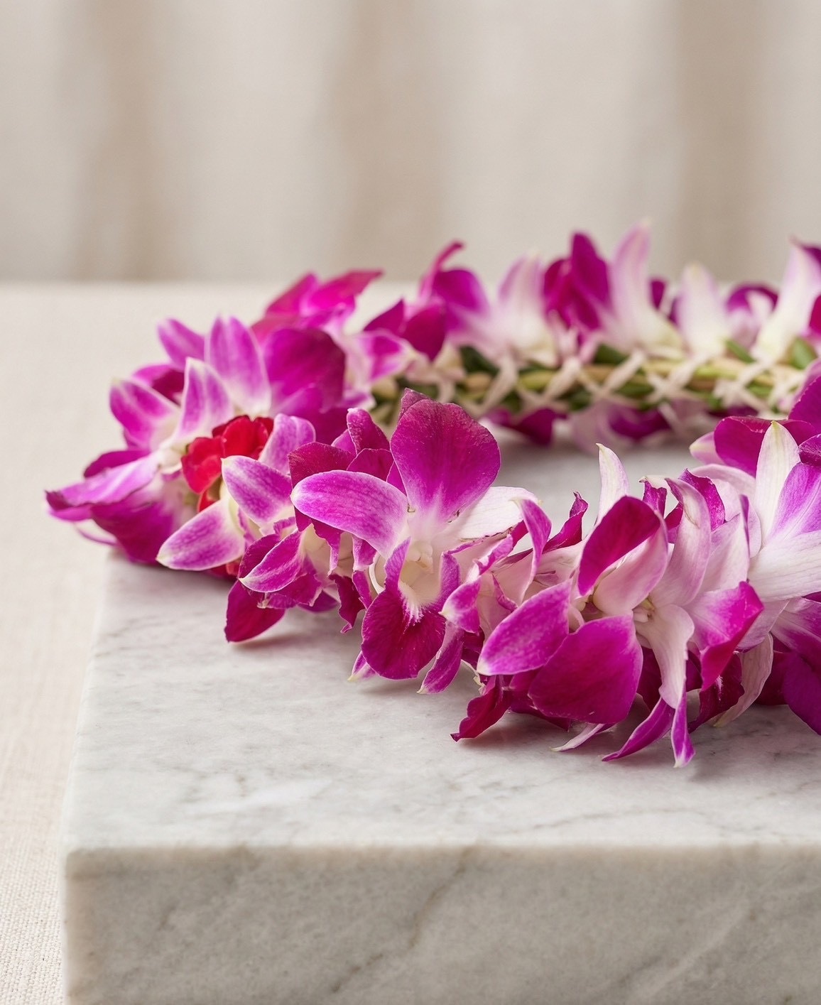 Aloha！【 五月限定】夏威夷花圈手作 × 文化體驗