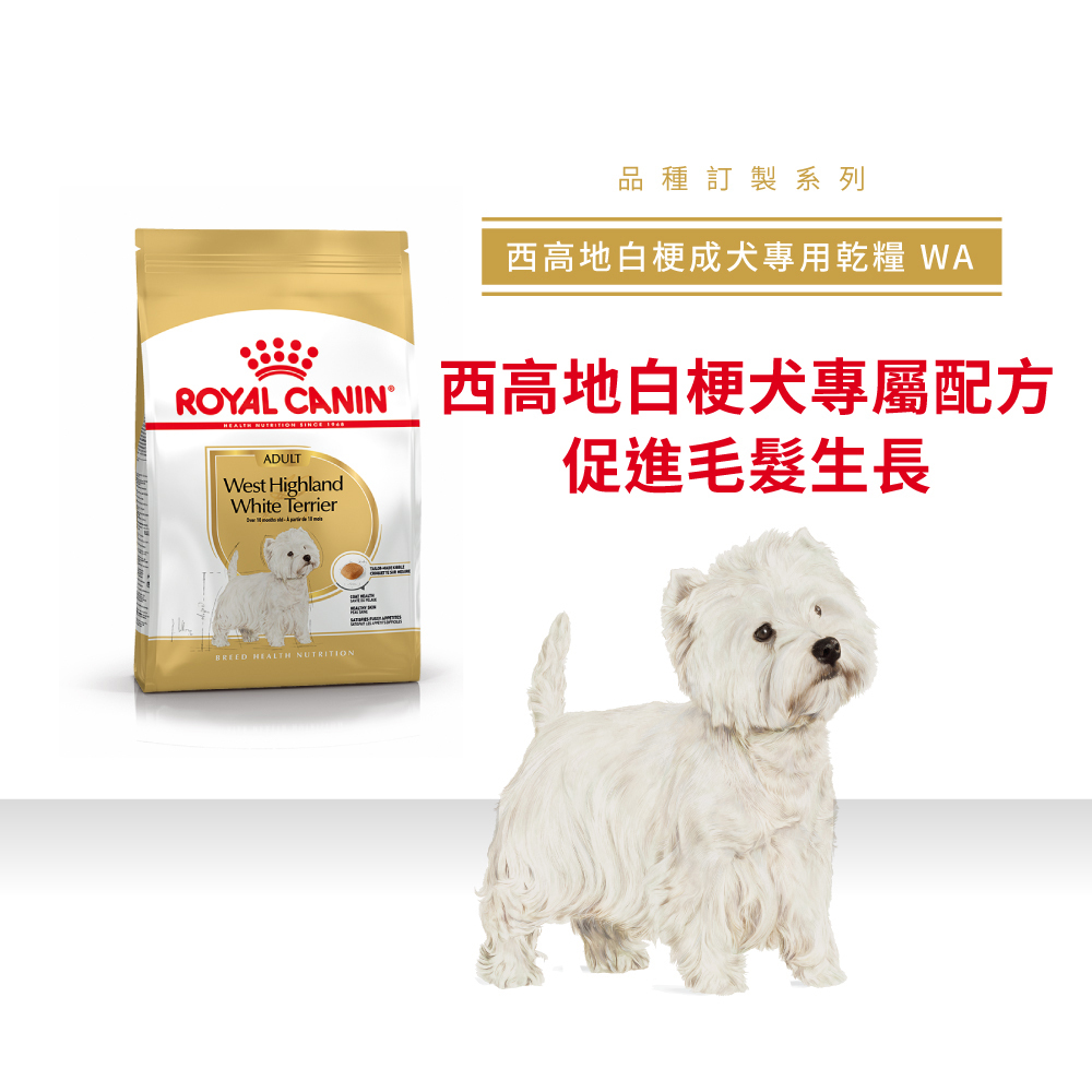 Royal Canin法國皇家西高地白梗成犬WA