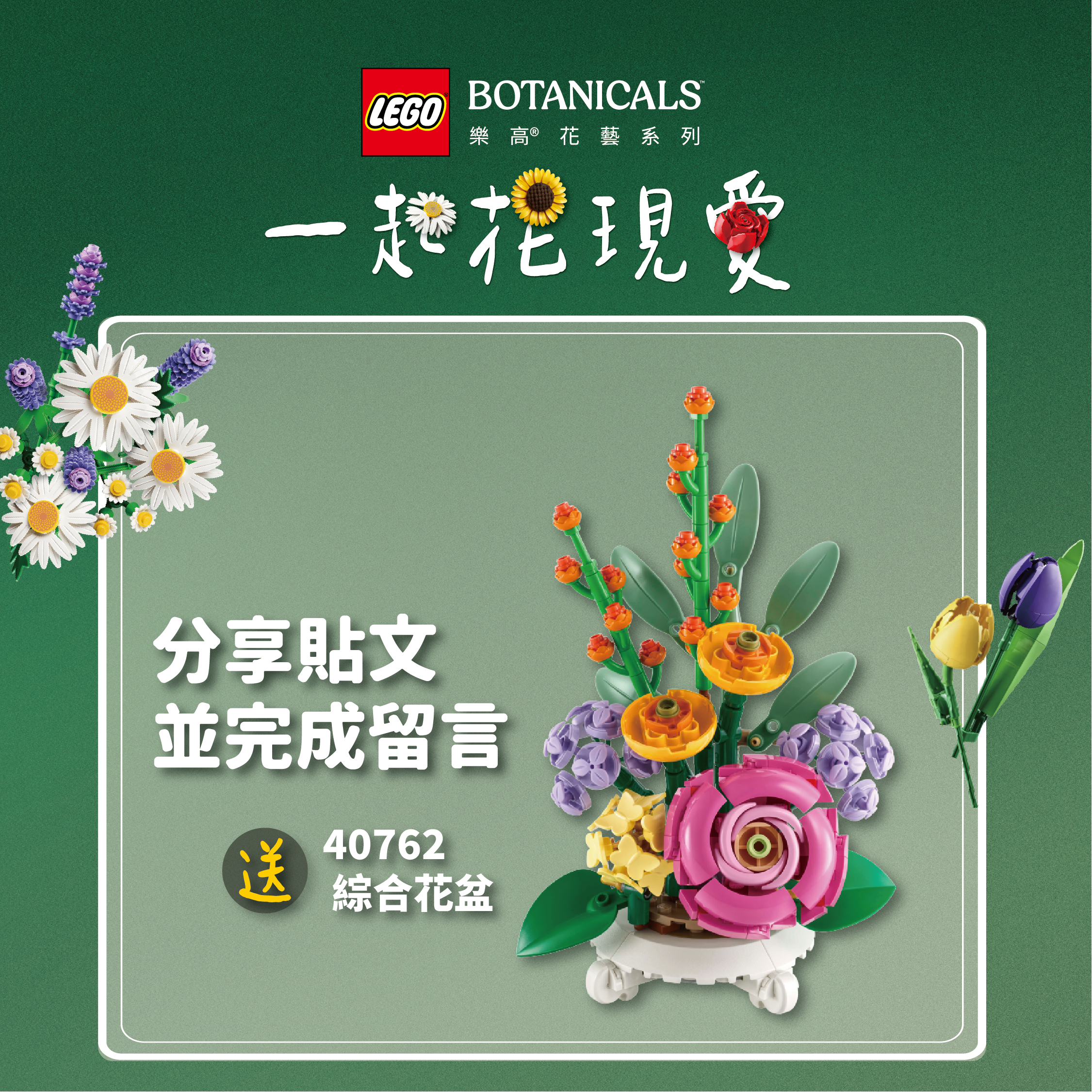 分享貼文抽好禮