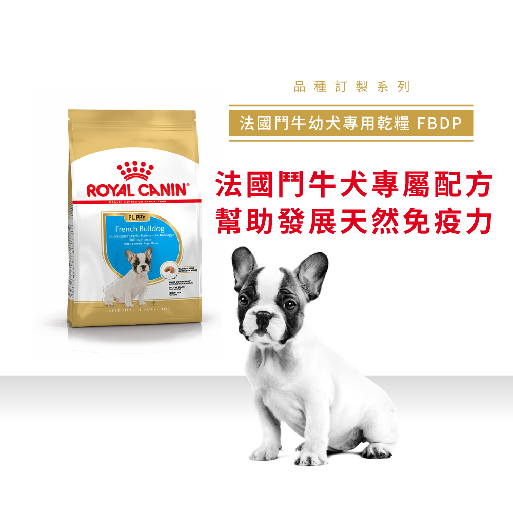Royal Canin法國皇家法國鬥牛成犬FBDA