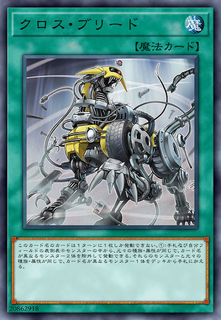 CYHO-JP066  (SR)クロス・ブリード (混血)