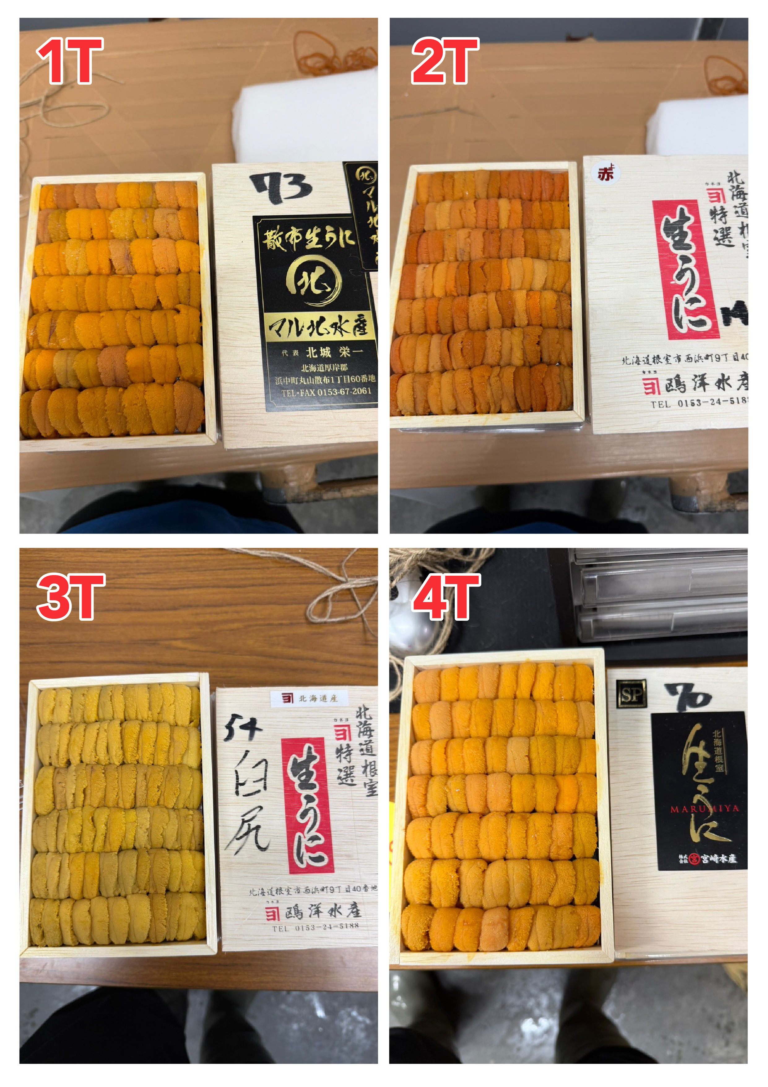 【指定海膽推薦】每天更新 (限即日落單, 翌日送)