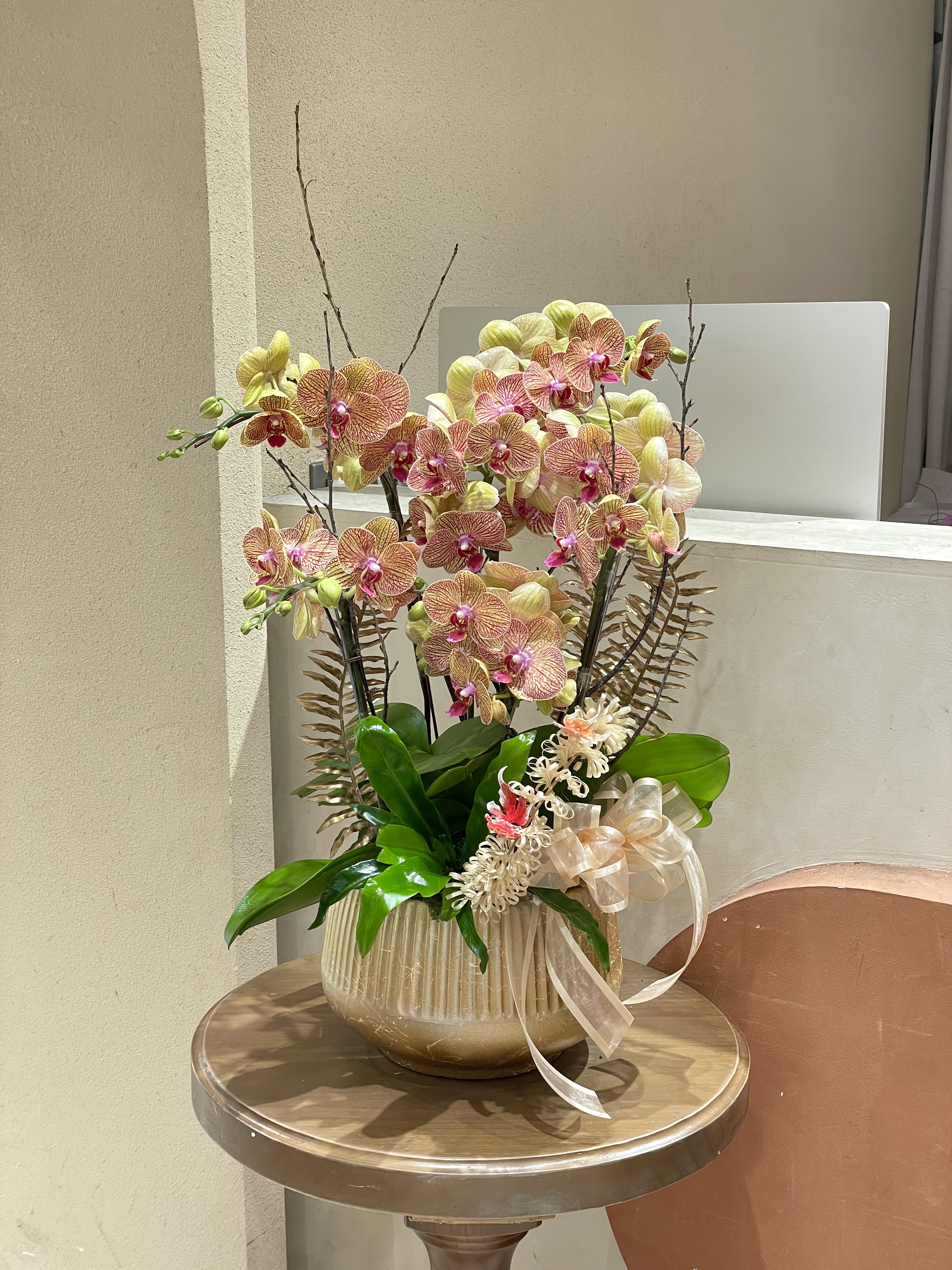 【現貨】蘭花-96