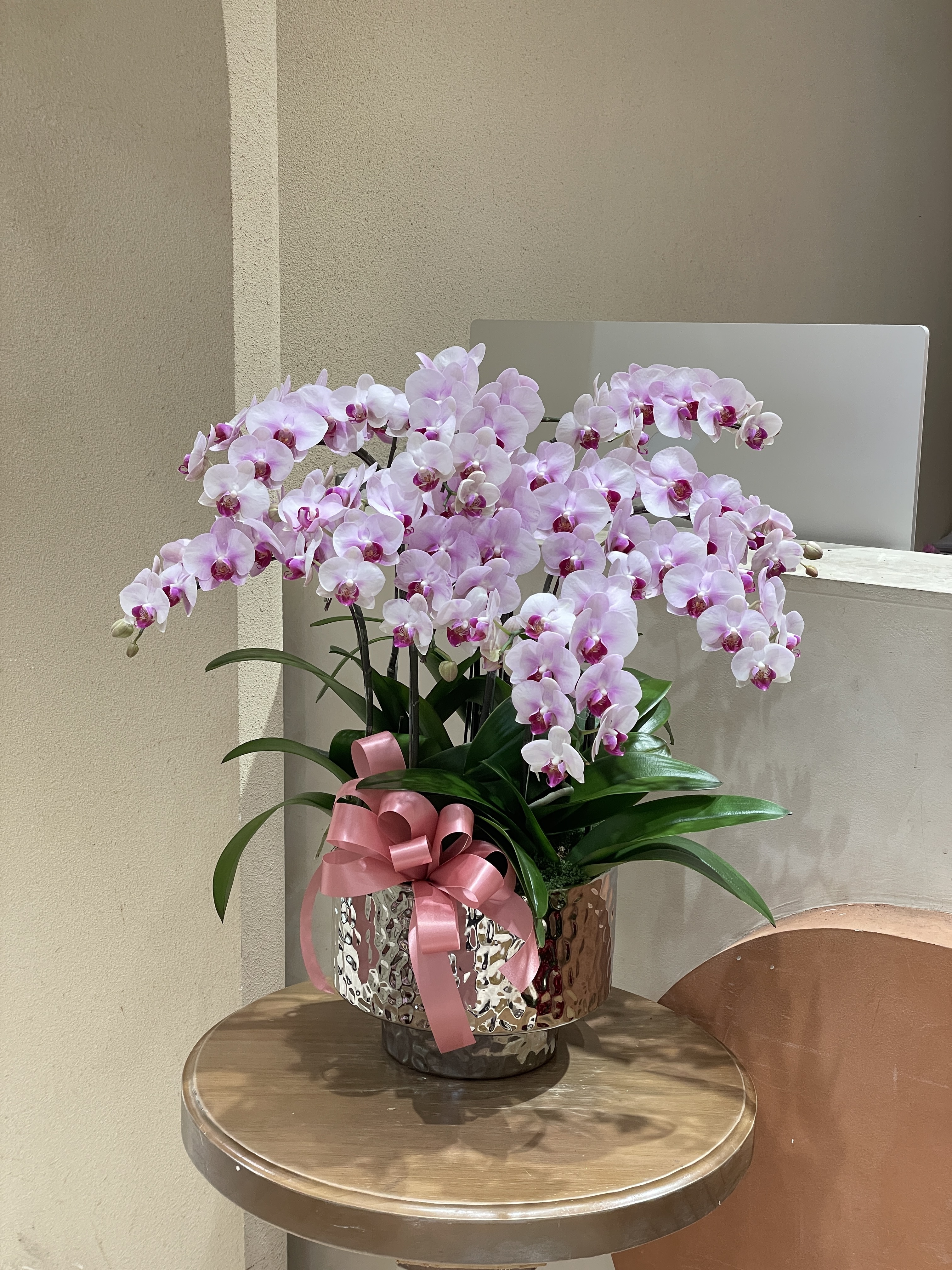 【現貨】蘭花-97