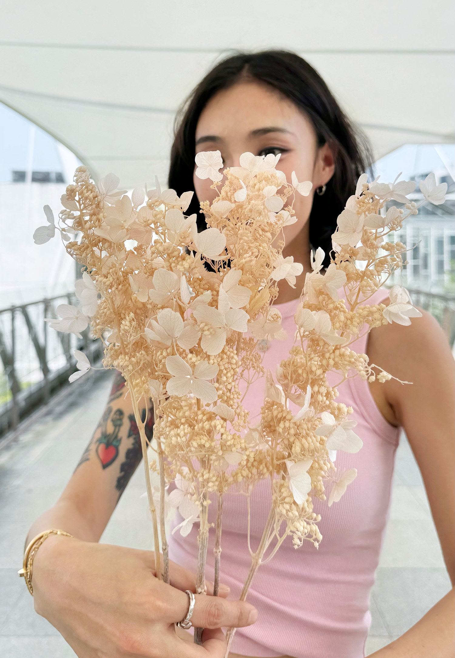 日本永生蝴蝶繡球