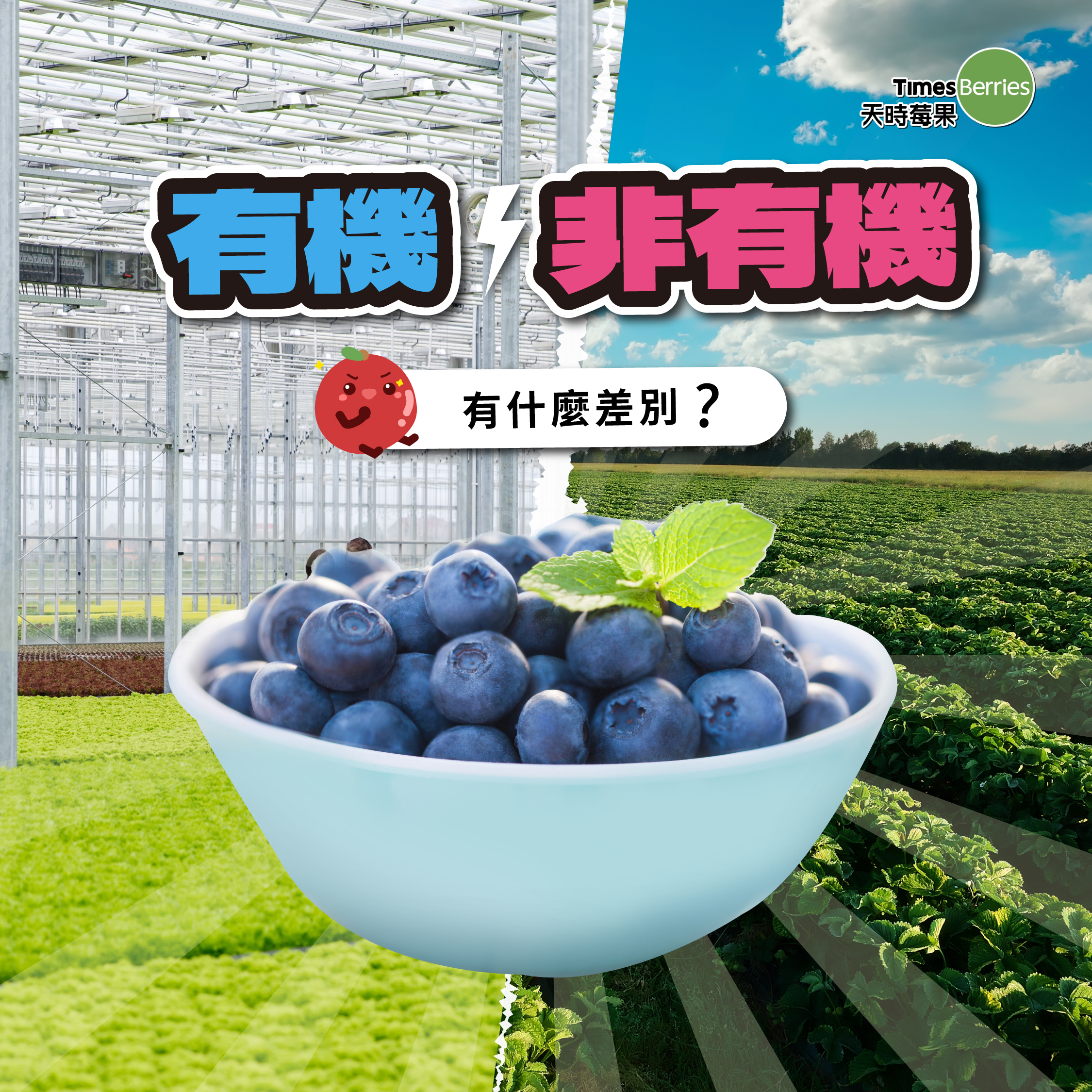 有機VS非有機有什麼差別