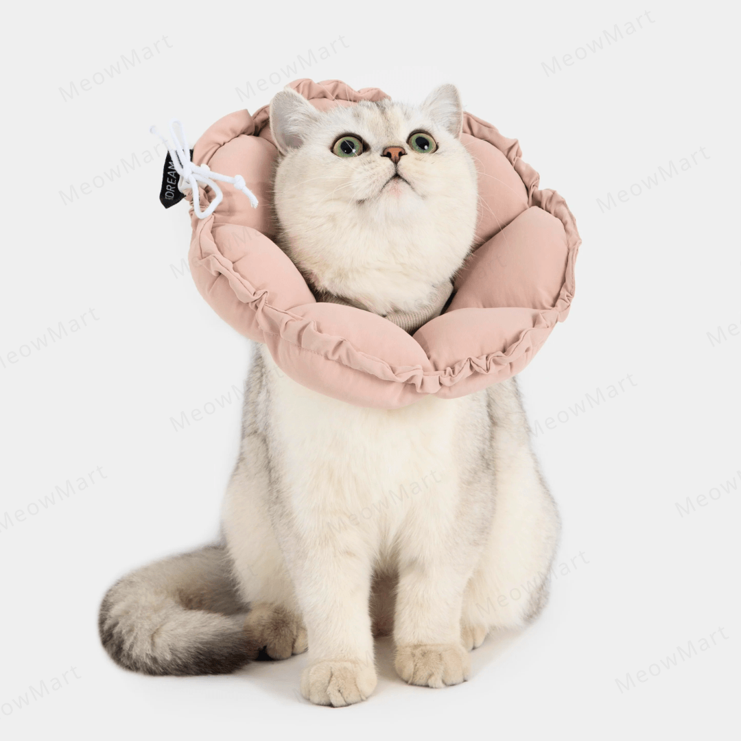 hidream 防舔咬頸圈