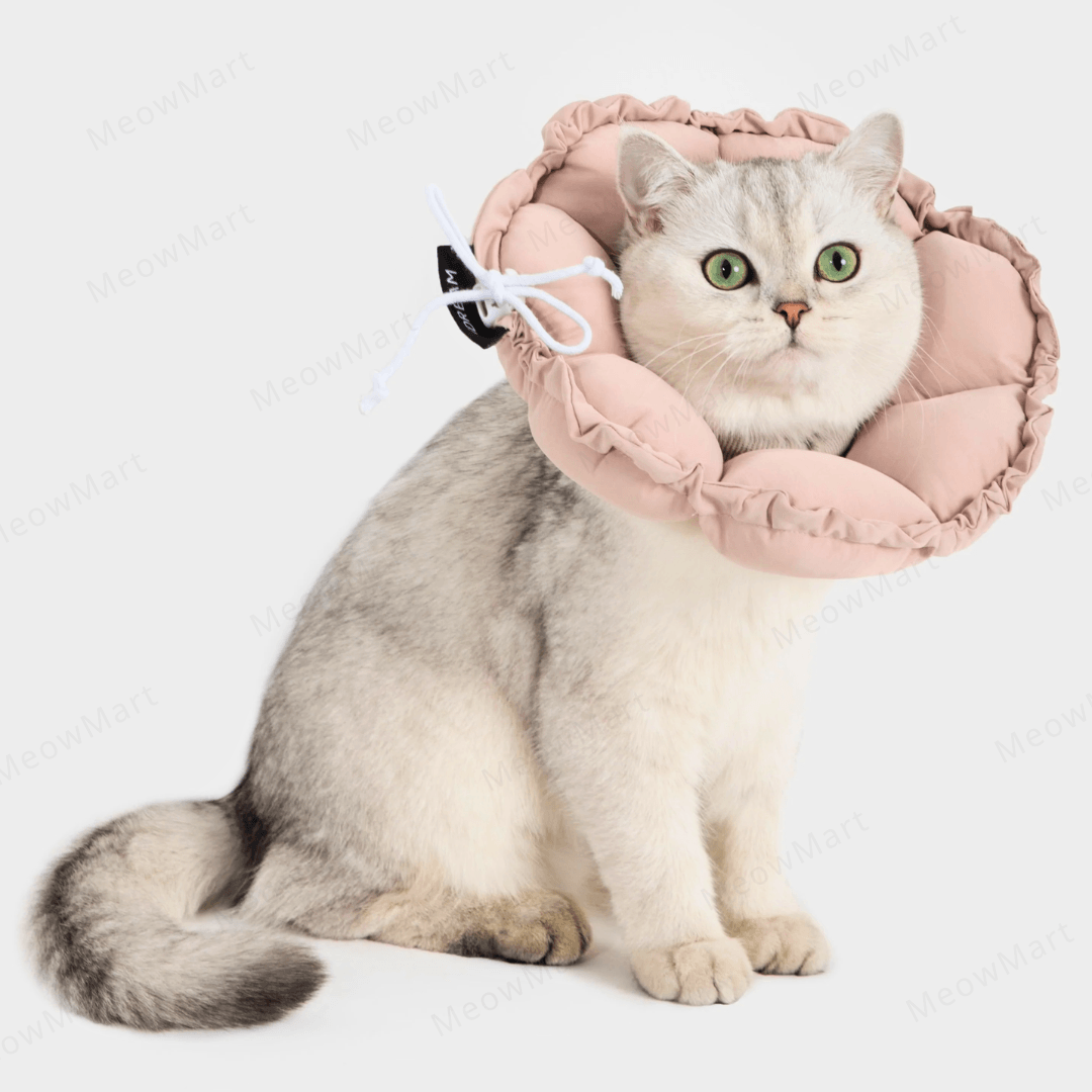 hidream 防舔咬頸圈