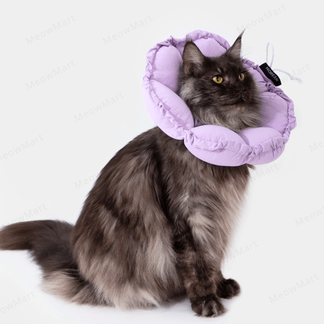 hidream 防舔咬頸圈