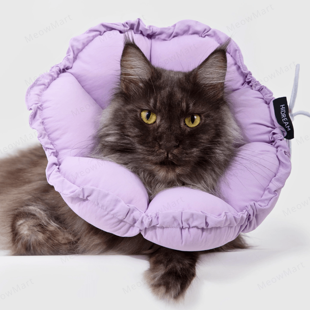 hidream 防舔咬頸圈