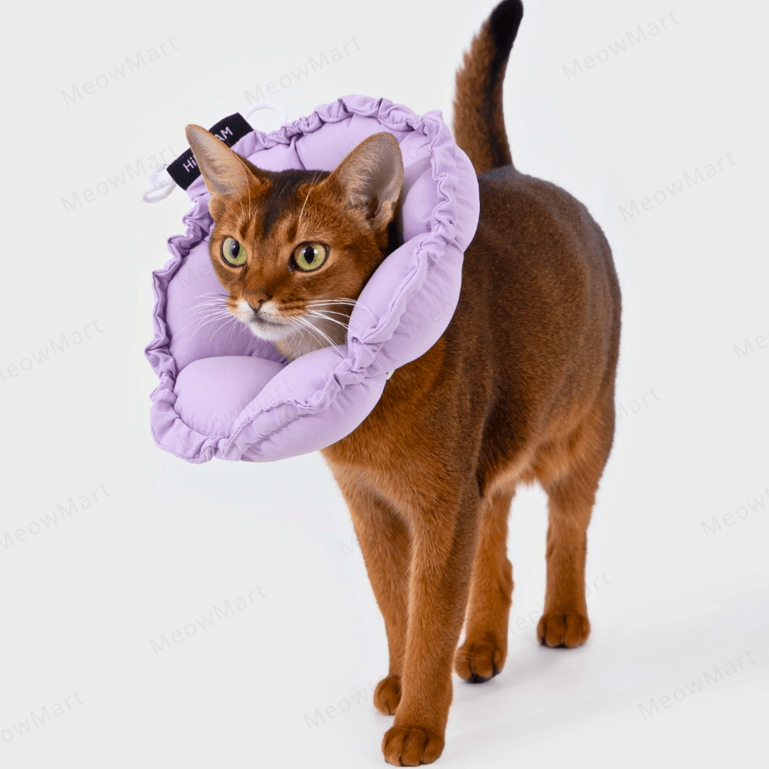 hidream 防舔咬頸圈