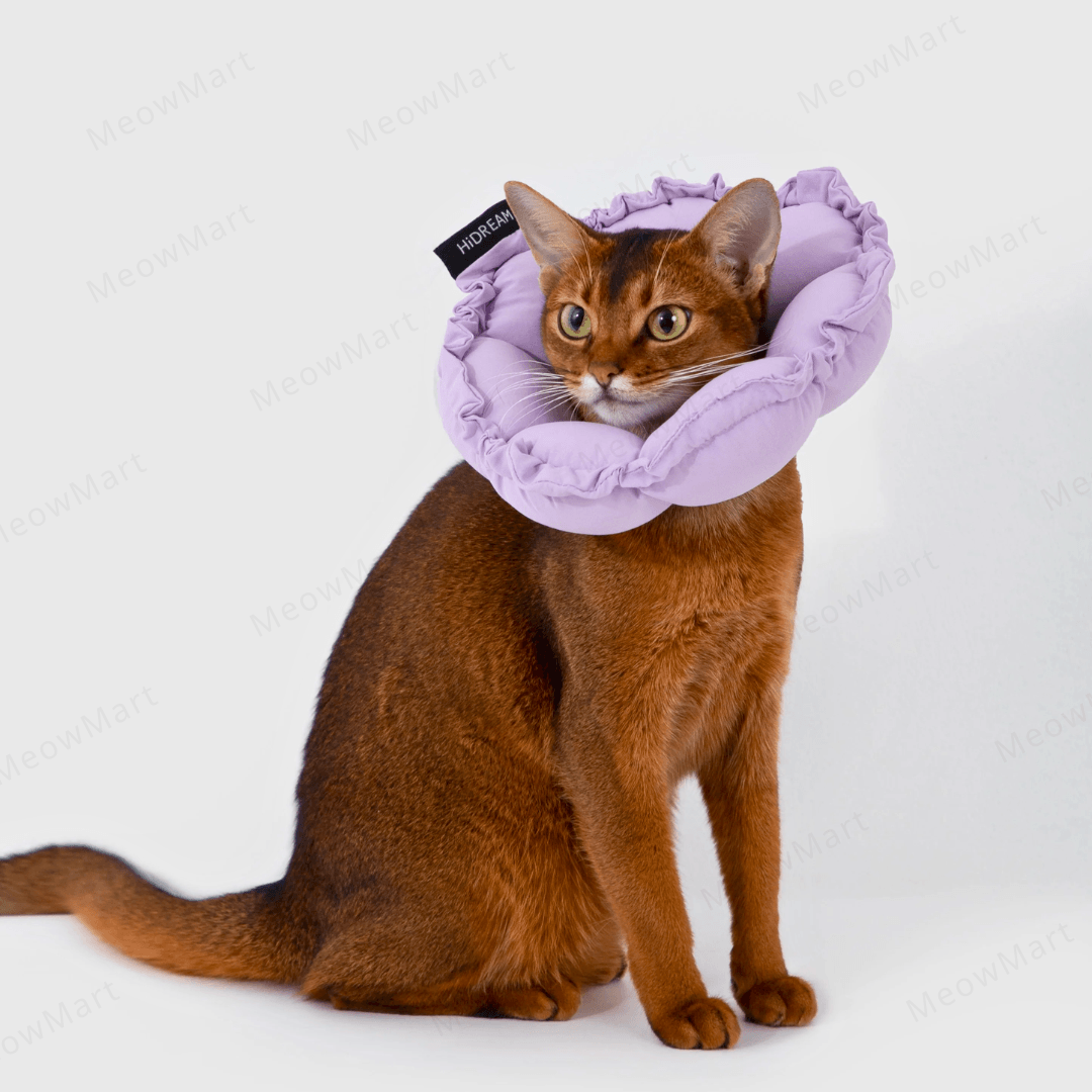 hidream 防舔咬頸圈