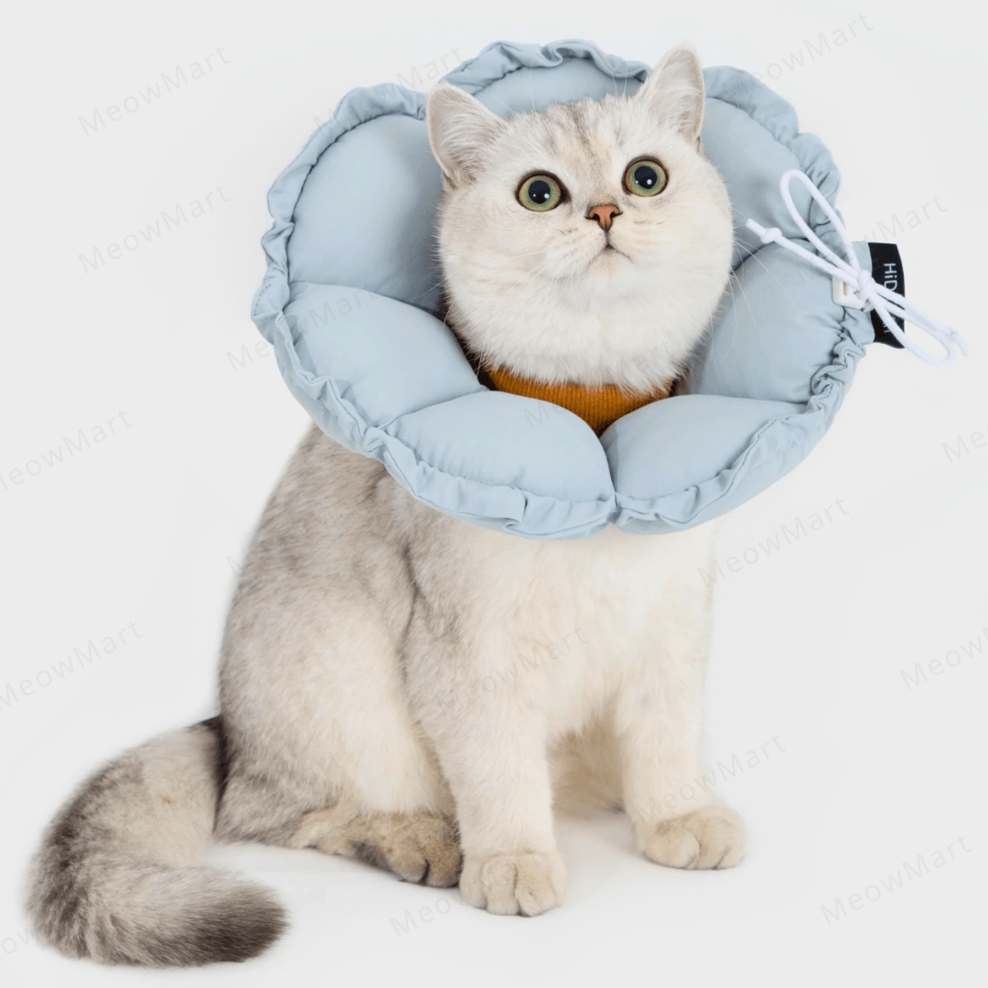 hidream 防舔咬頸圈