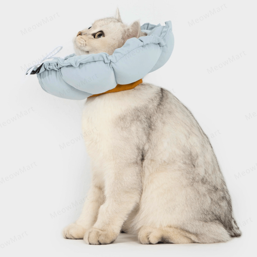 hidream 防舔咬頸圈