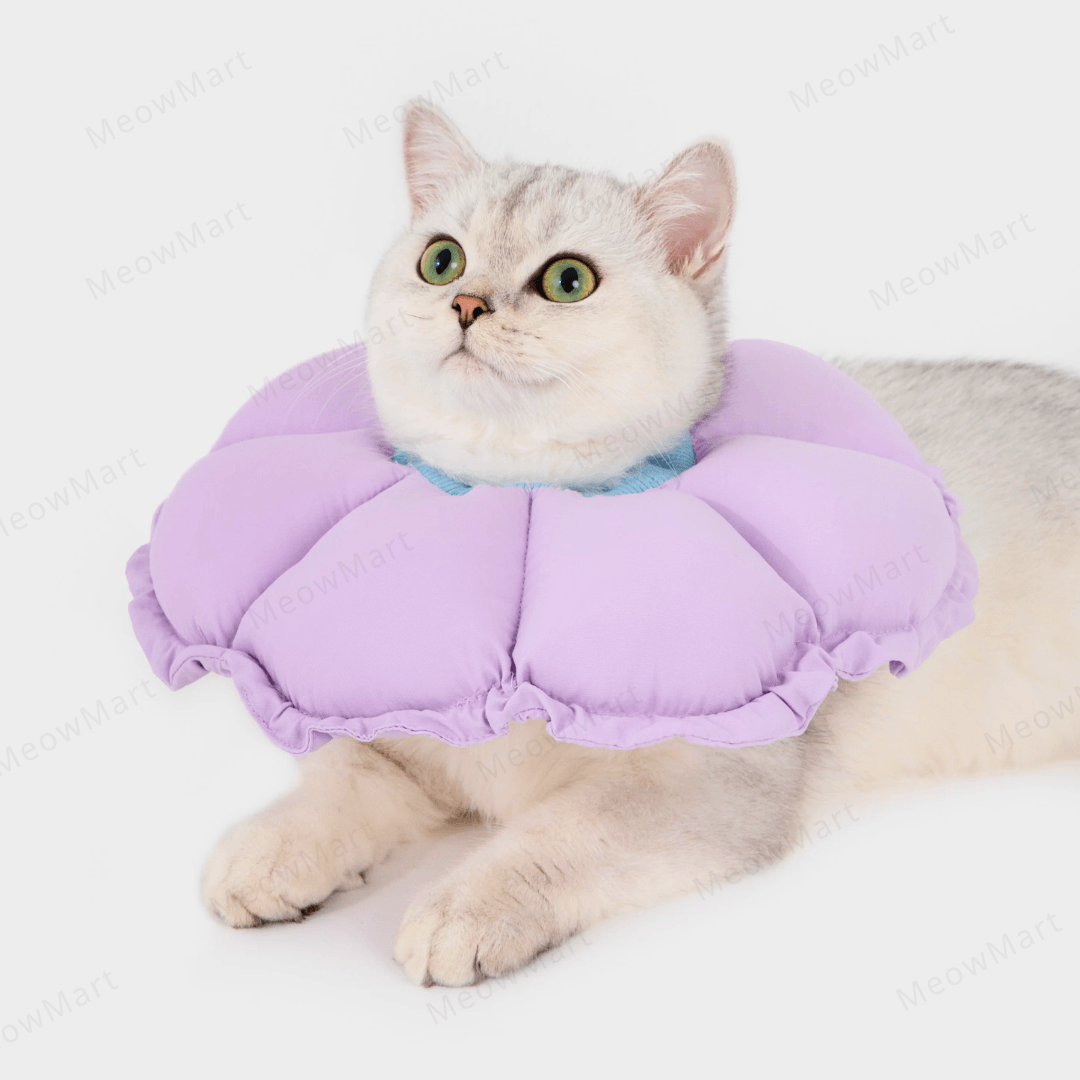 hidream 防舔咬頸圈