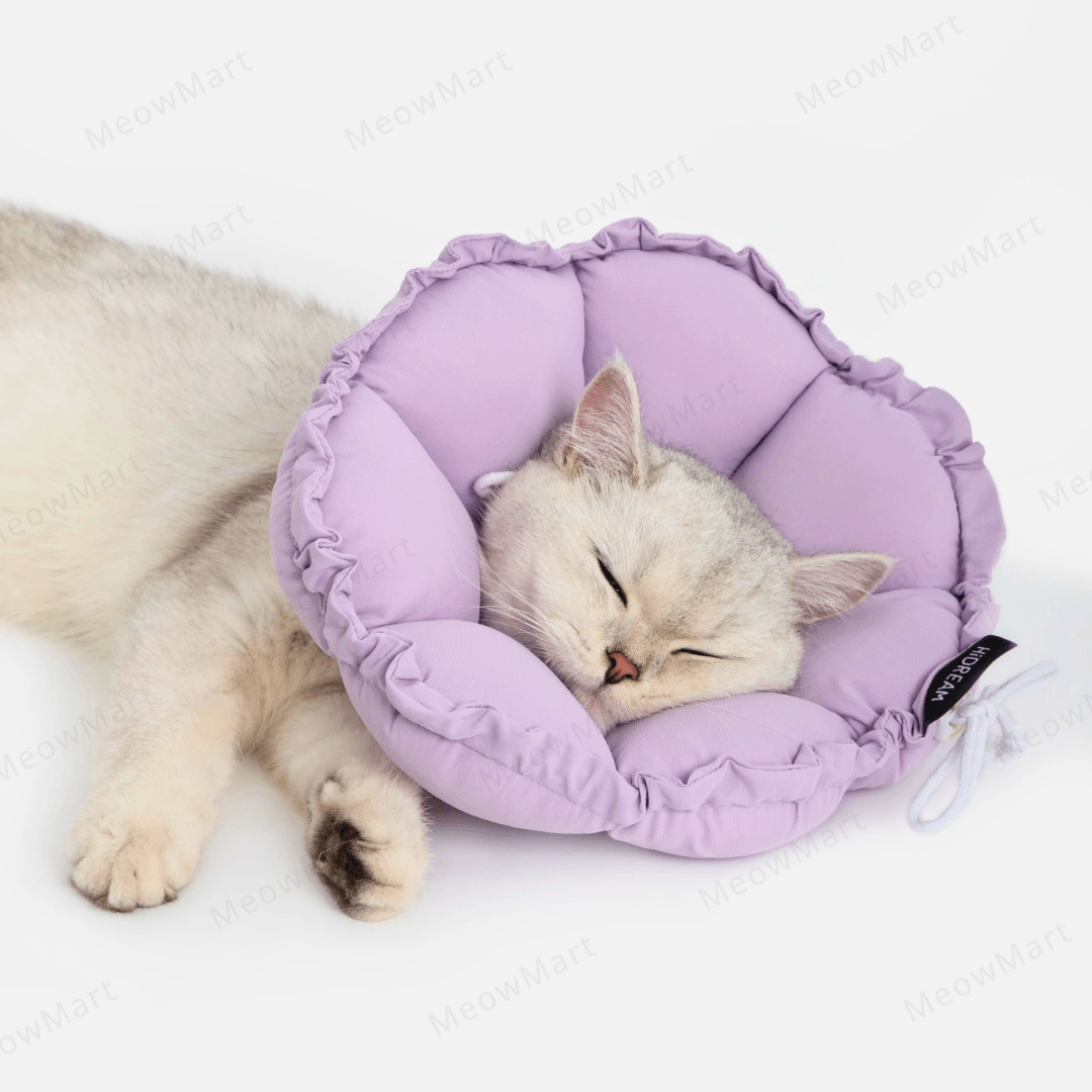 hidream 防舔咬頸圈