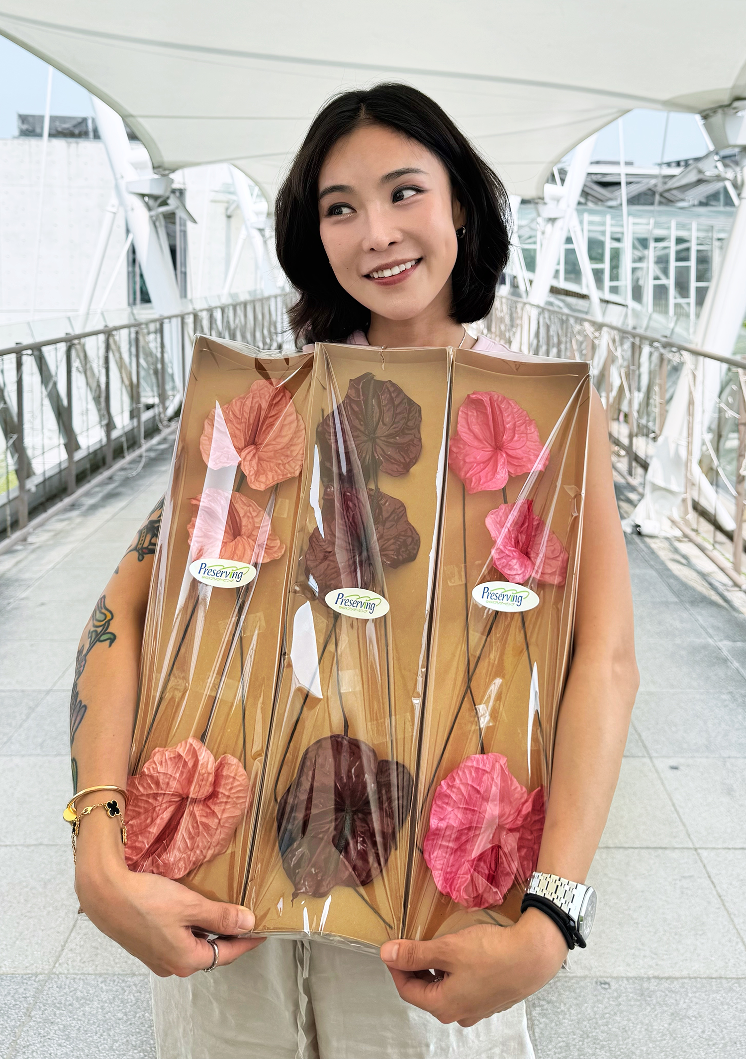 日本永生火鶴花（四色）