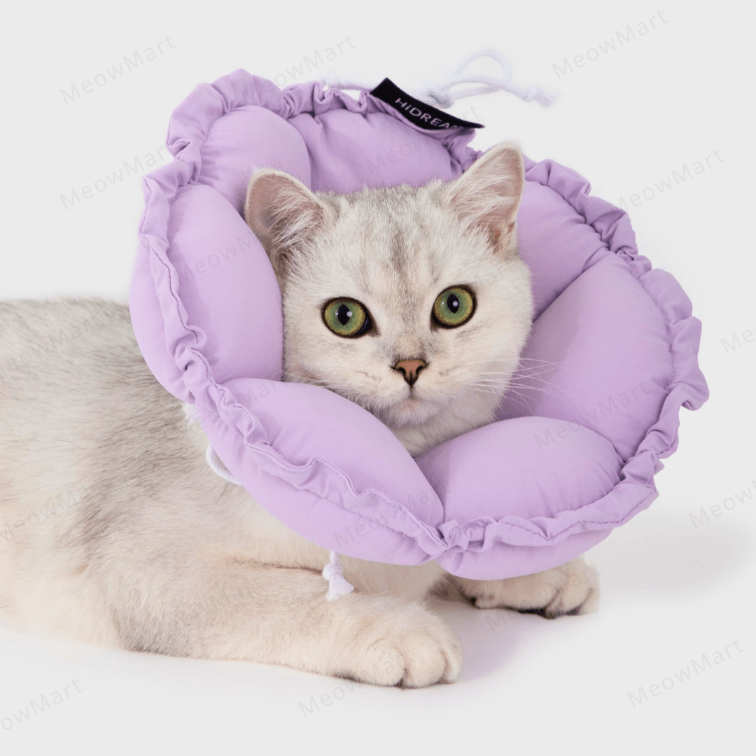 hidream 防舔咬頸圈